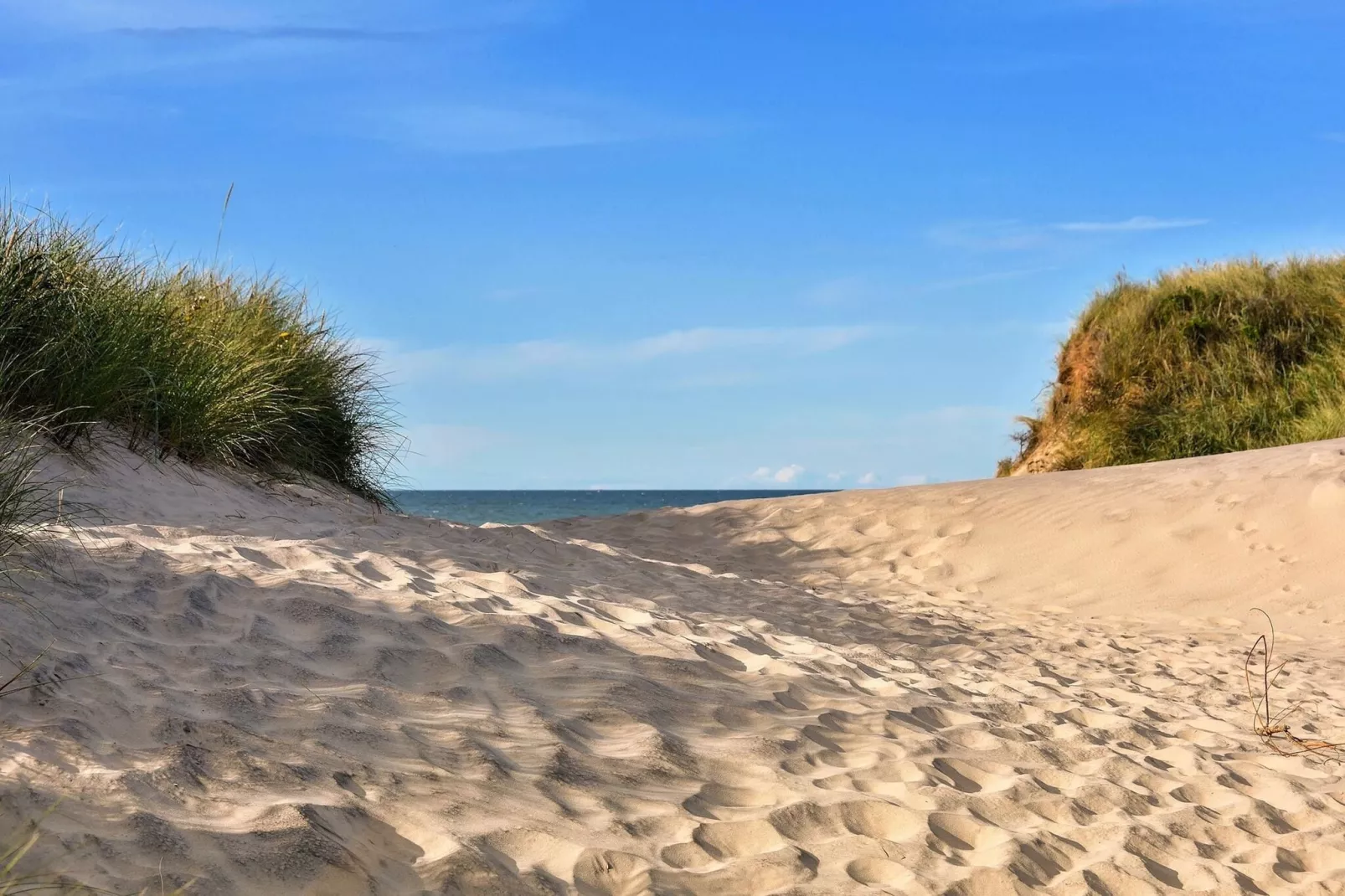 Vakantiepark 't Eibernest Texel 1-Gebieden zomer 5km