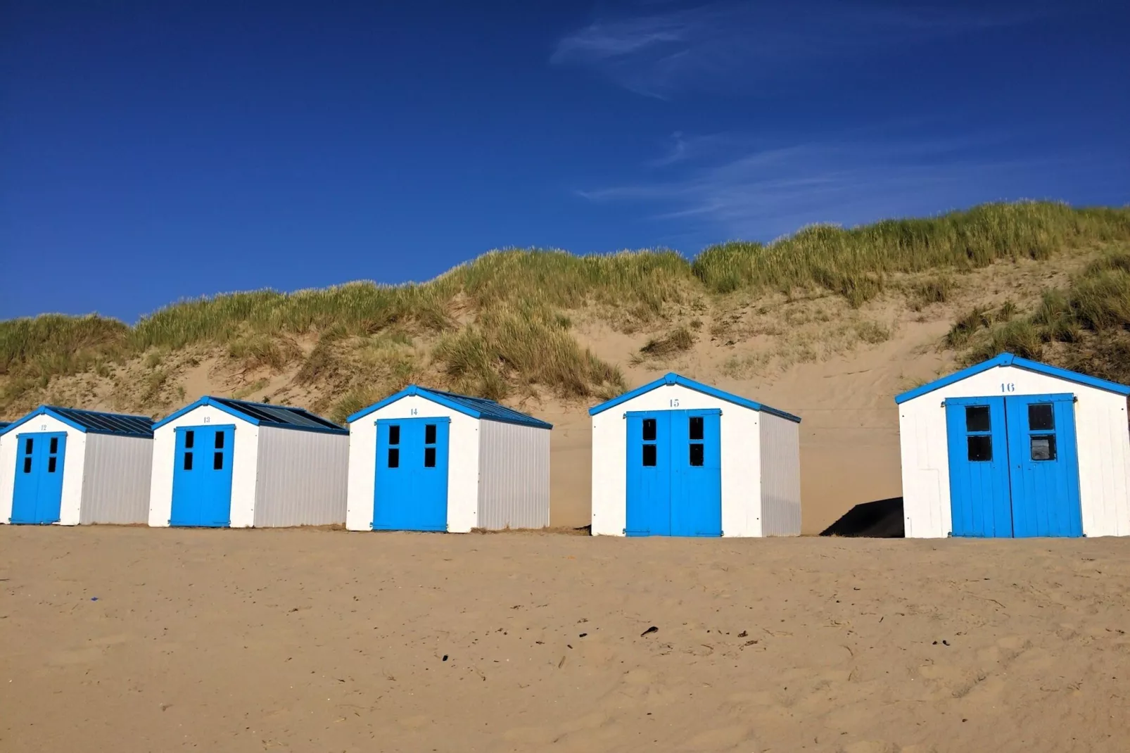 Vakantiepark 't Eibernest Texel 1-Gebieden zomer 5km