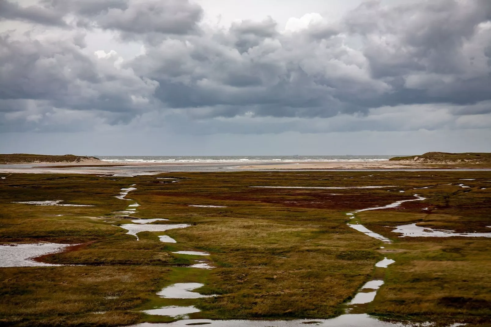 Vakantiepark 't Eibernest Texel 1-Gebieden zomer 5km