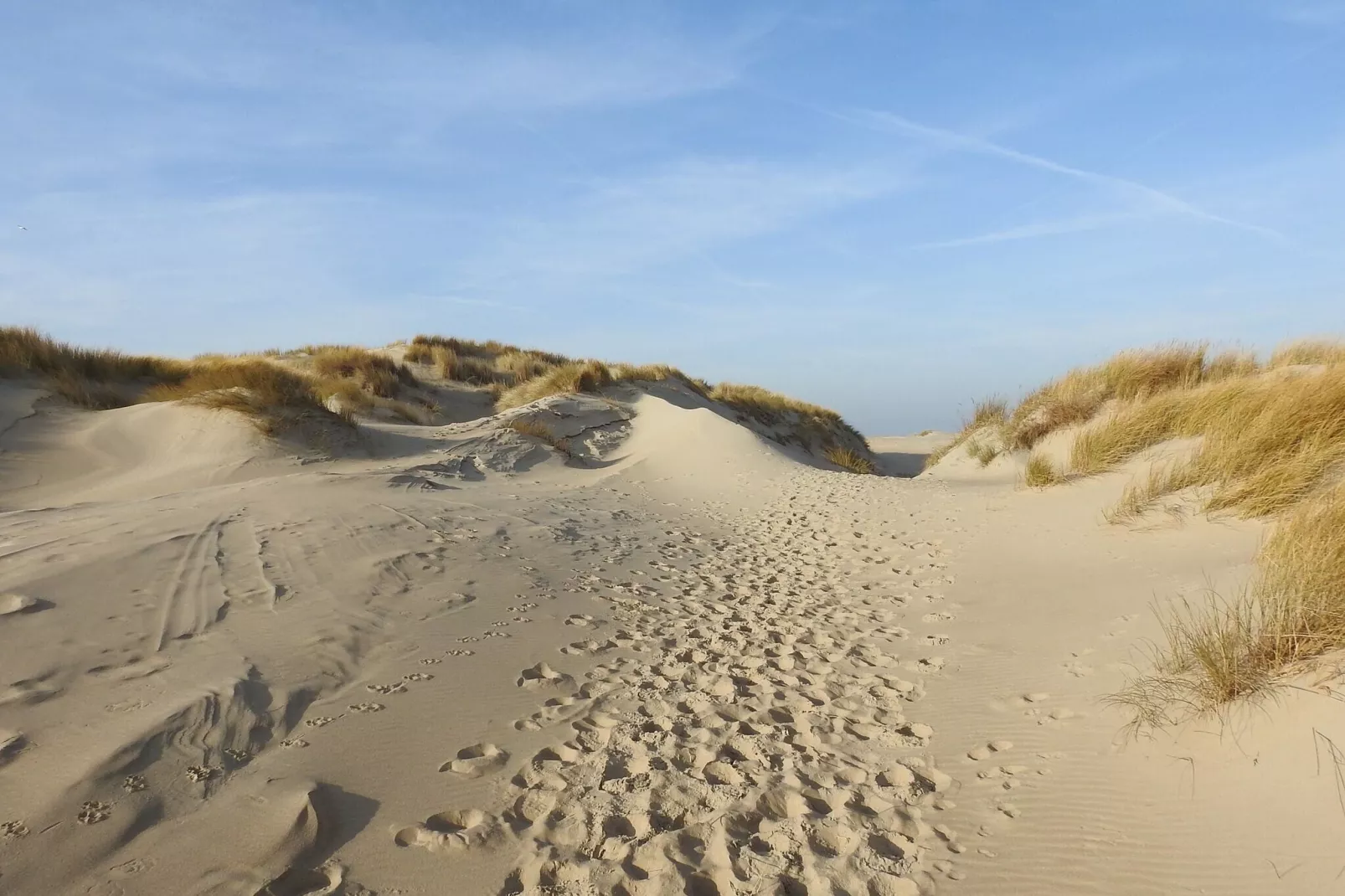 Vakantiepark 't Eibernest Texel 2-Gebieden zomer 5km