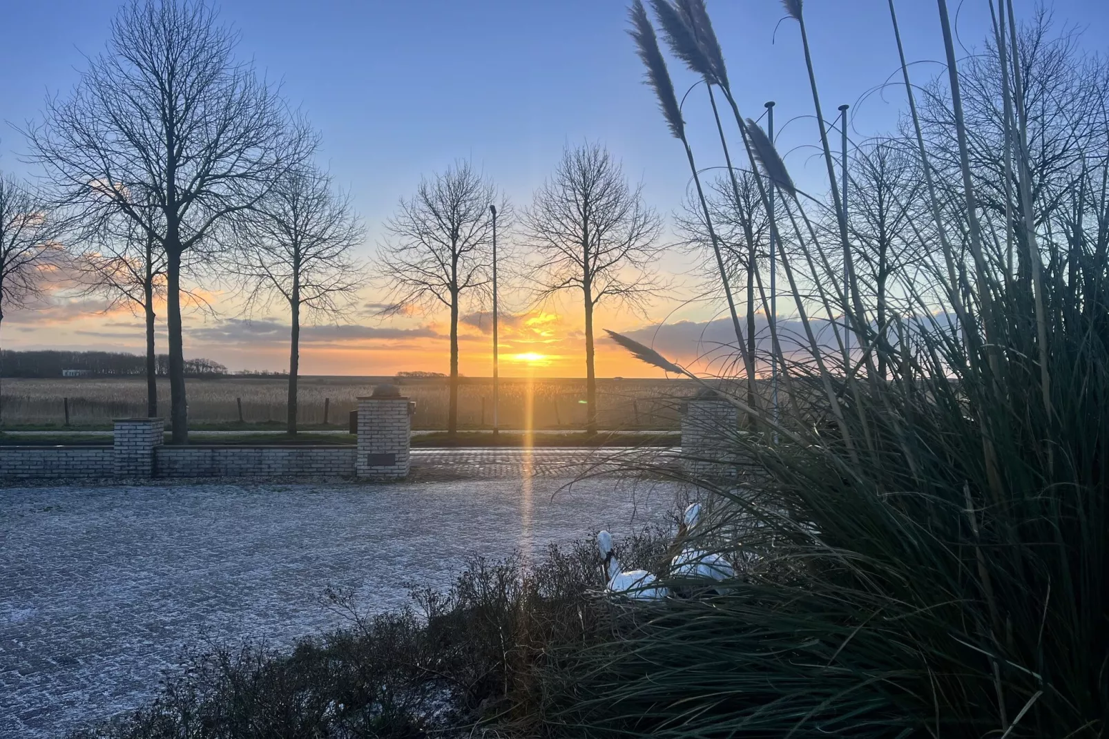 Vakantiepark 't Eibernest Texel 3-Uitzicht winter