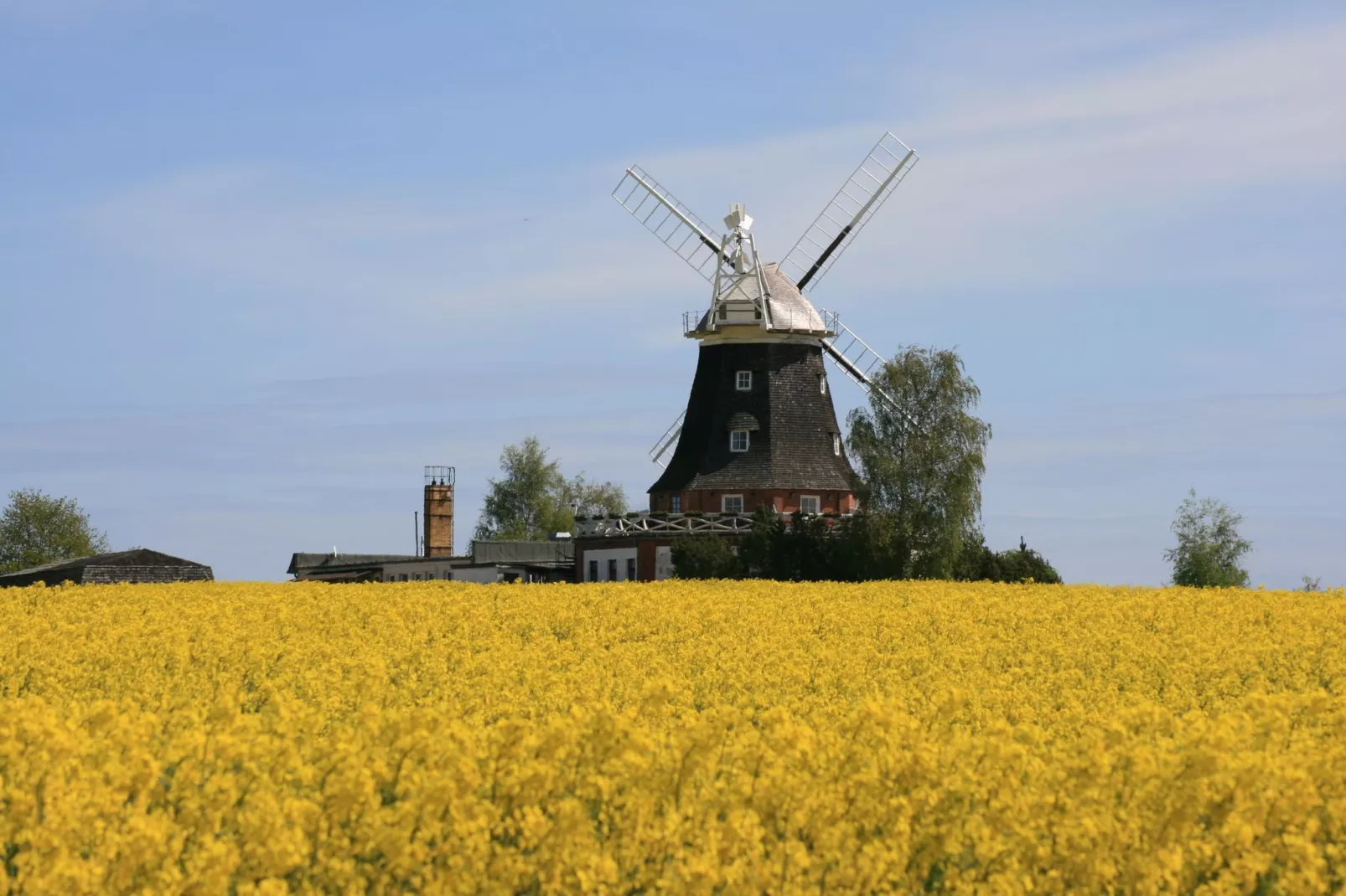 Stadthaus Klütz XL-Gebieden zomer 1km