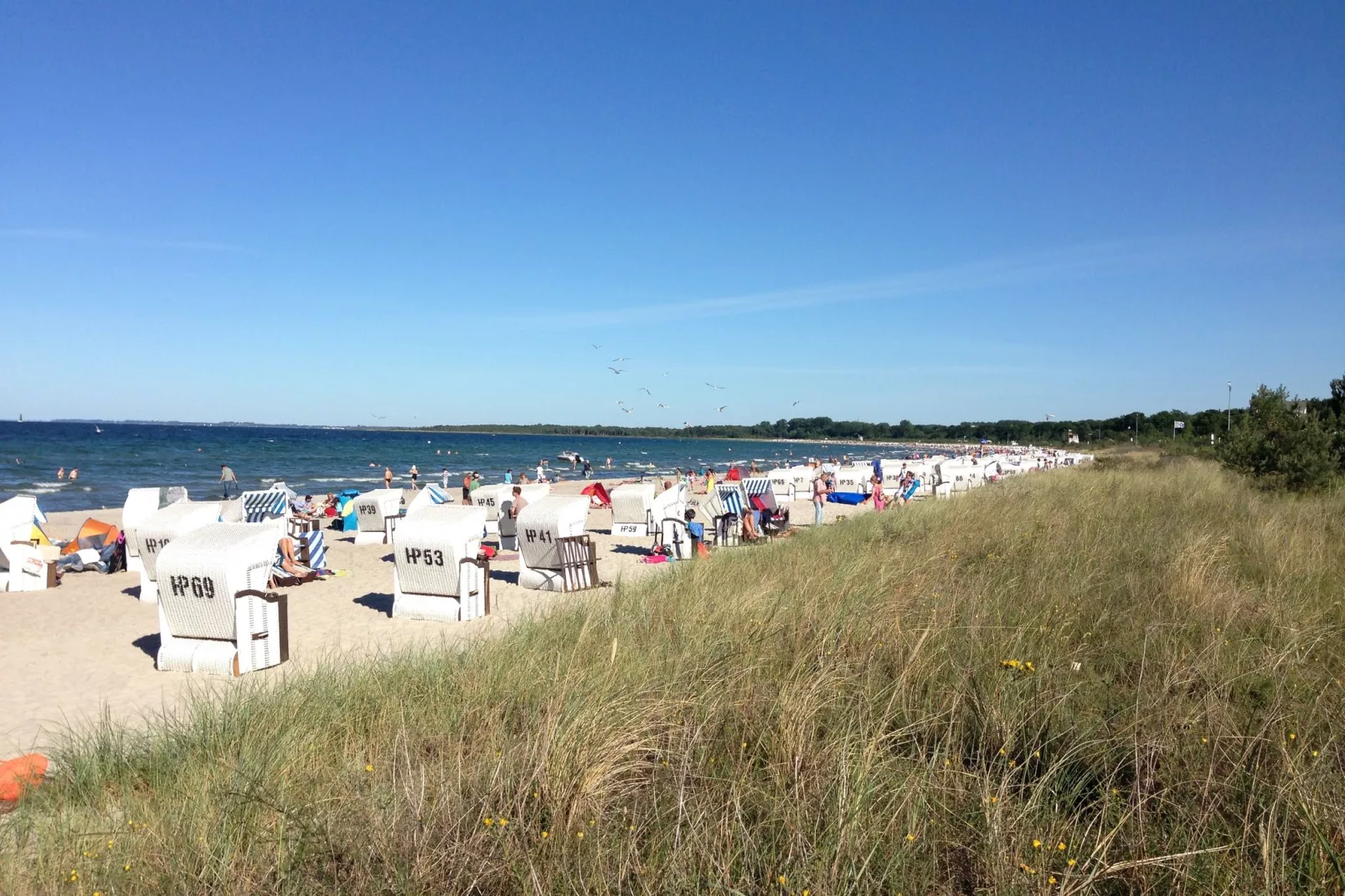 Stadthaus Klütz XL-Gebieden zomer 20km