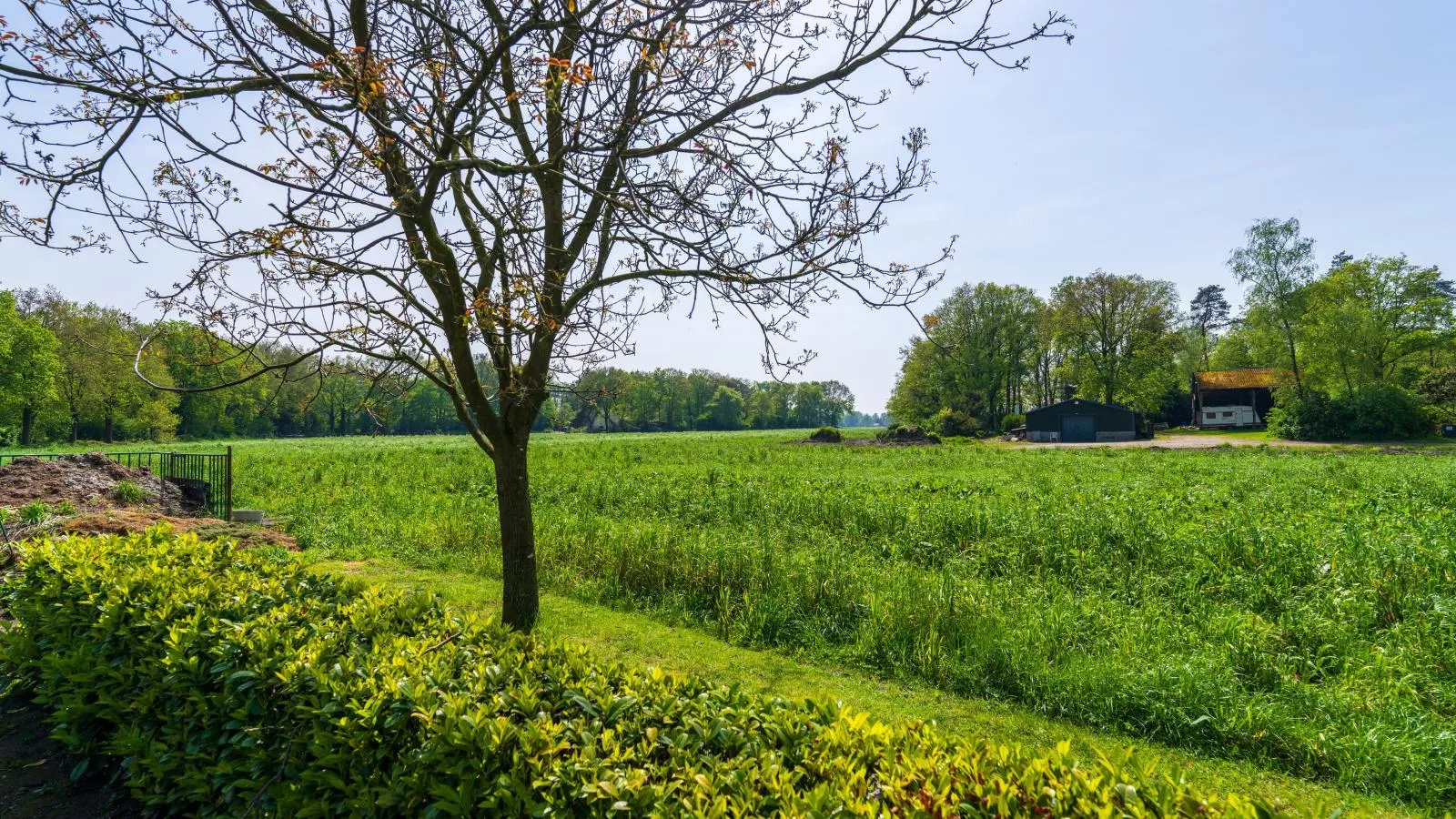 Achter de Vijf Linden-Gebieden zomer 1km