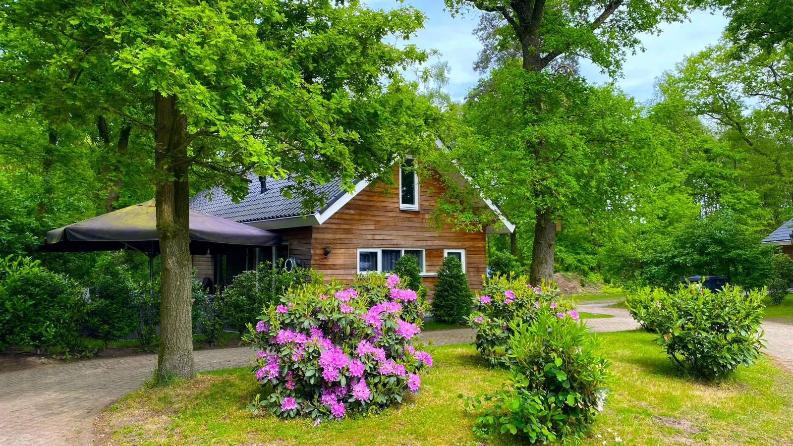 Villa Boszicht-Gebieden zomer 1km