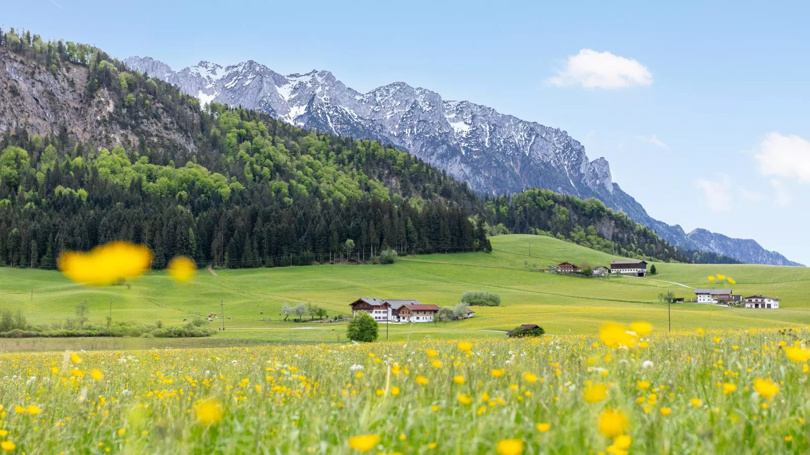 Marschbachhof-Gebieden zomer 1km