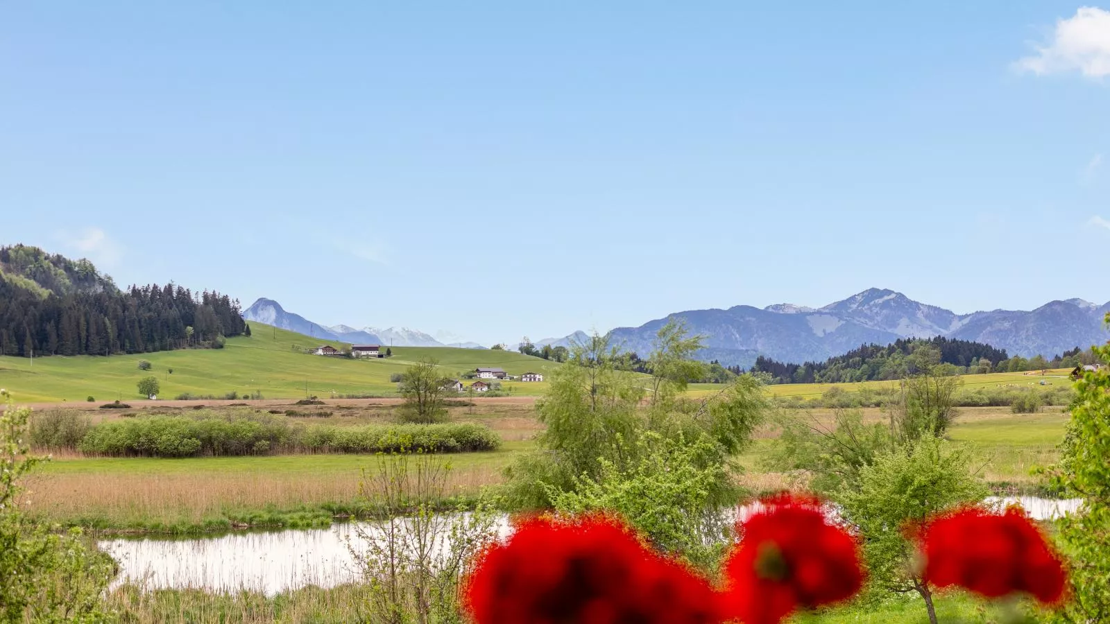 Marschbachhof-Uitzicht zomer