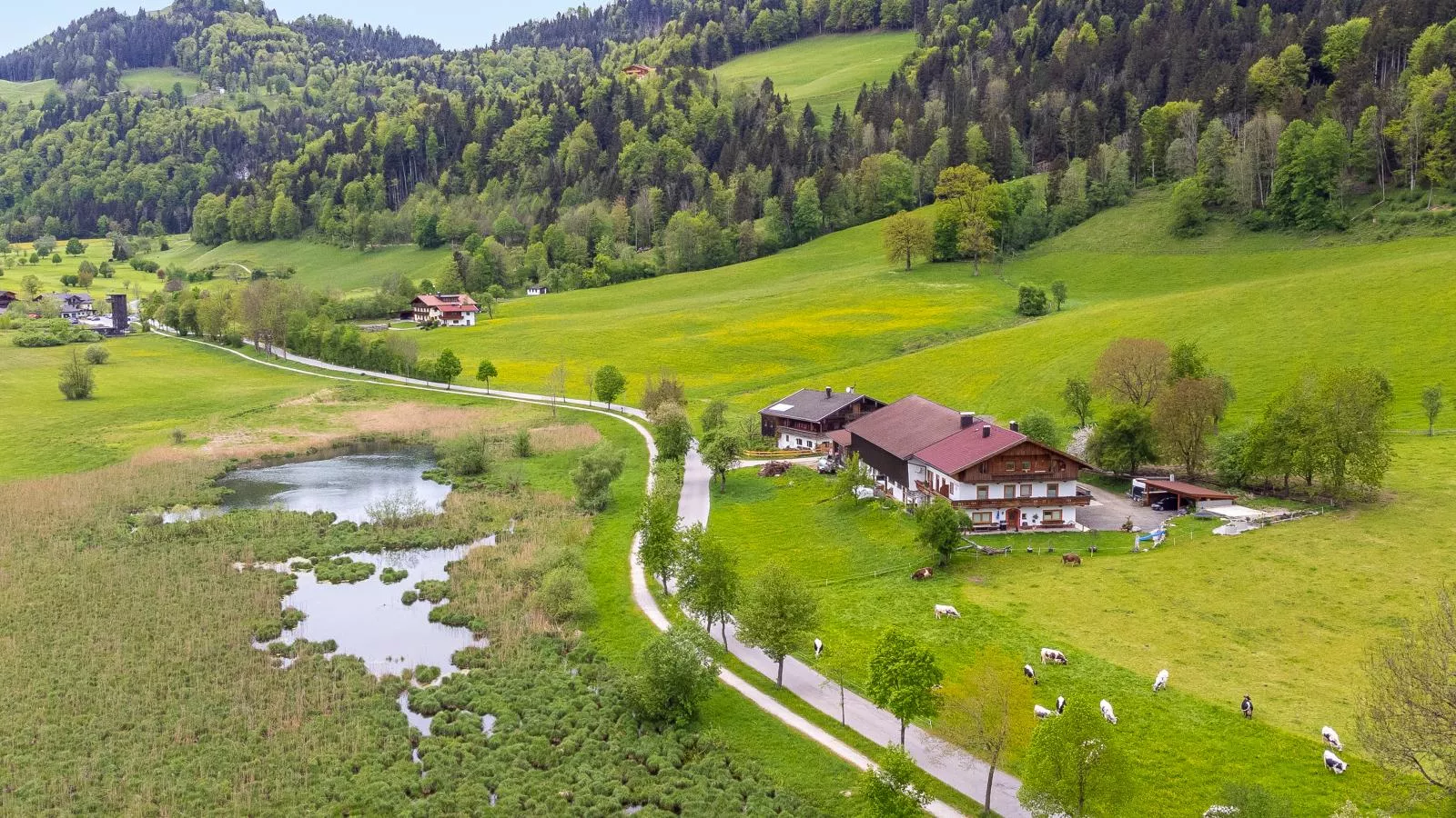 Marschbachhof-Gebieden zomer 1km