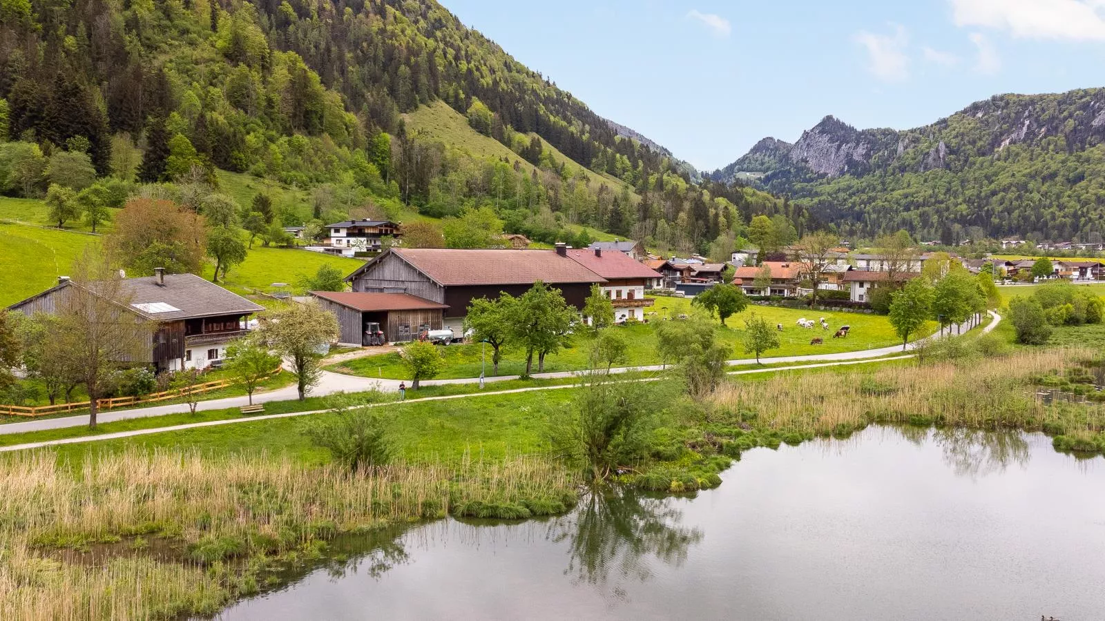 Marschbachhof-Gebieden zomer 1km