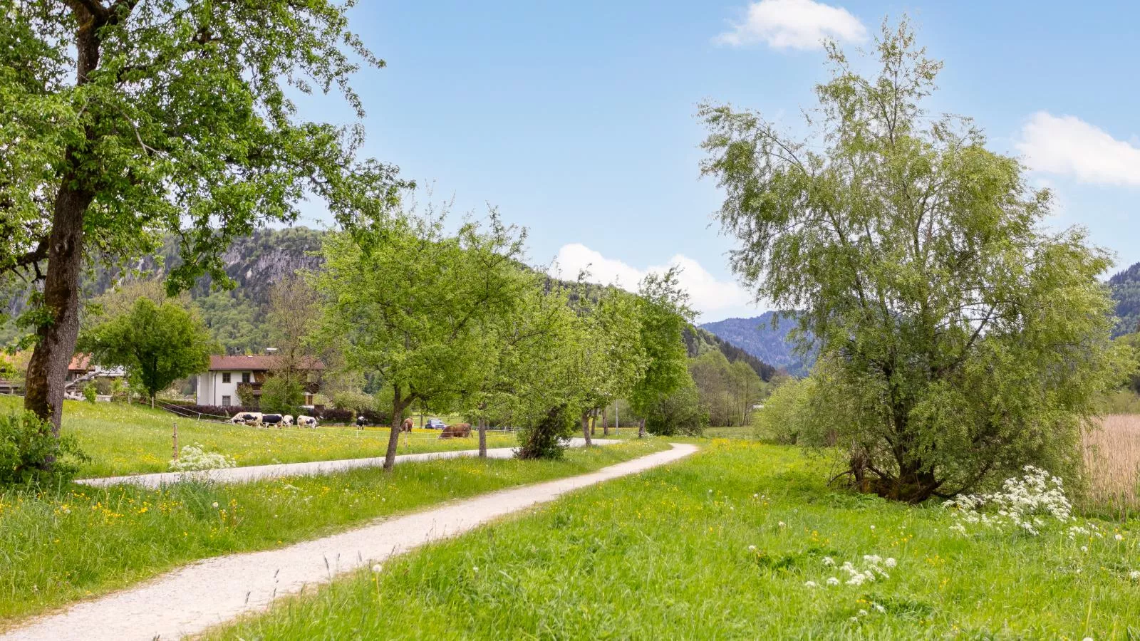 Marschbachhof-Gebieden zomer 1km