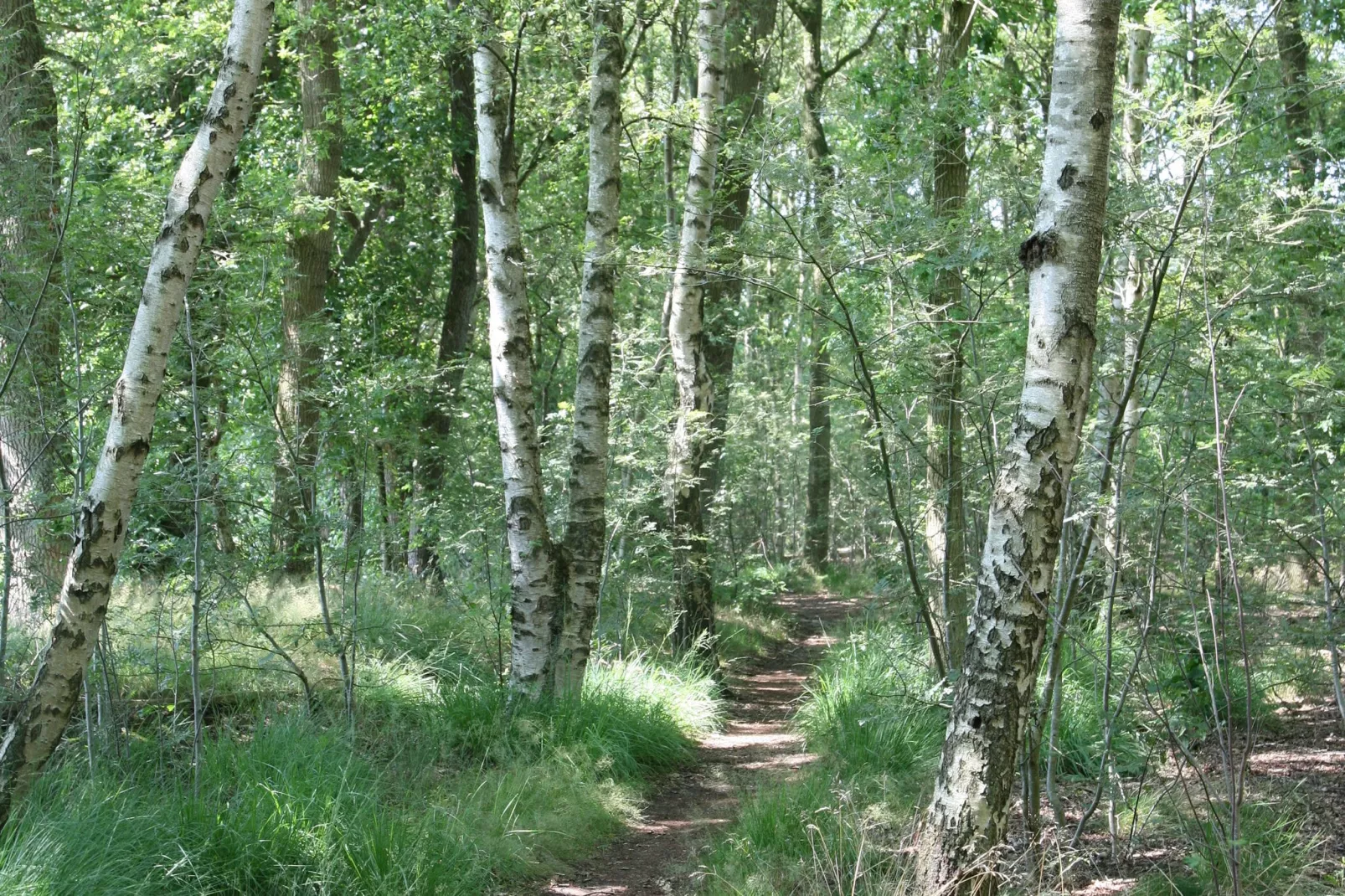 Het Hart van Drenthe 1-Gebieden zomer 5km