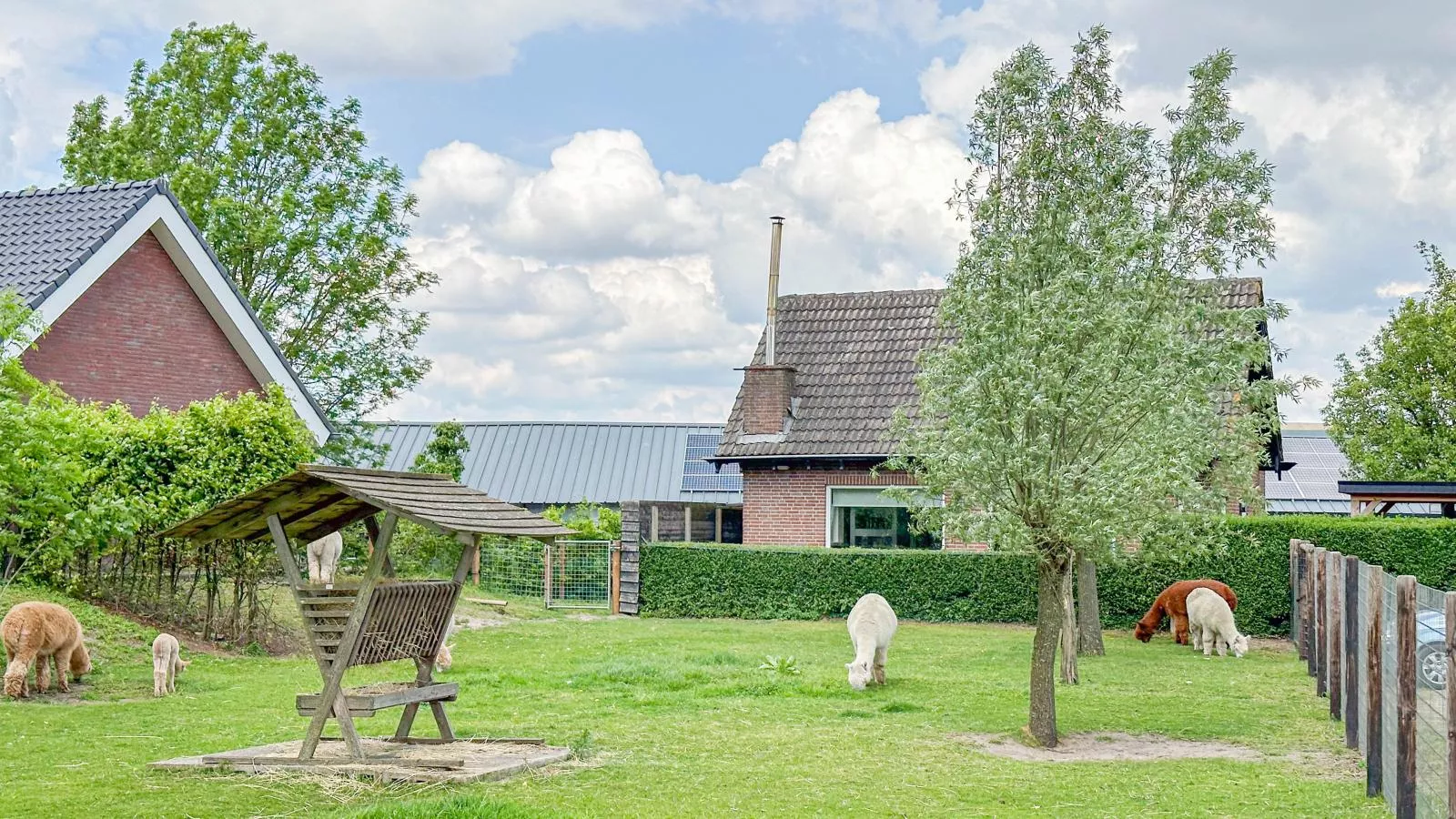 Alpacafarm Vorstenbosch-Buitenkant zomer