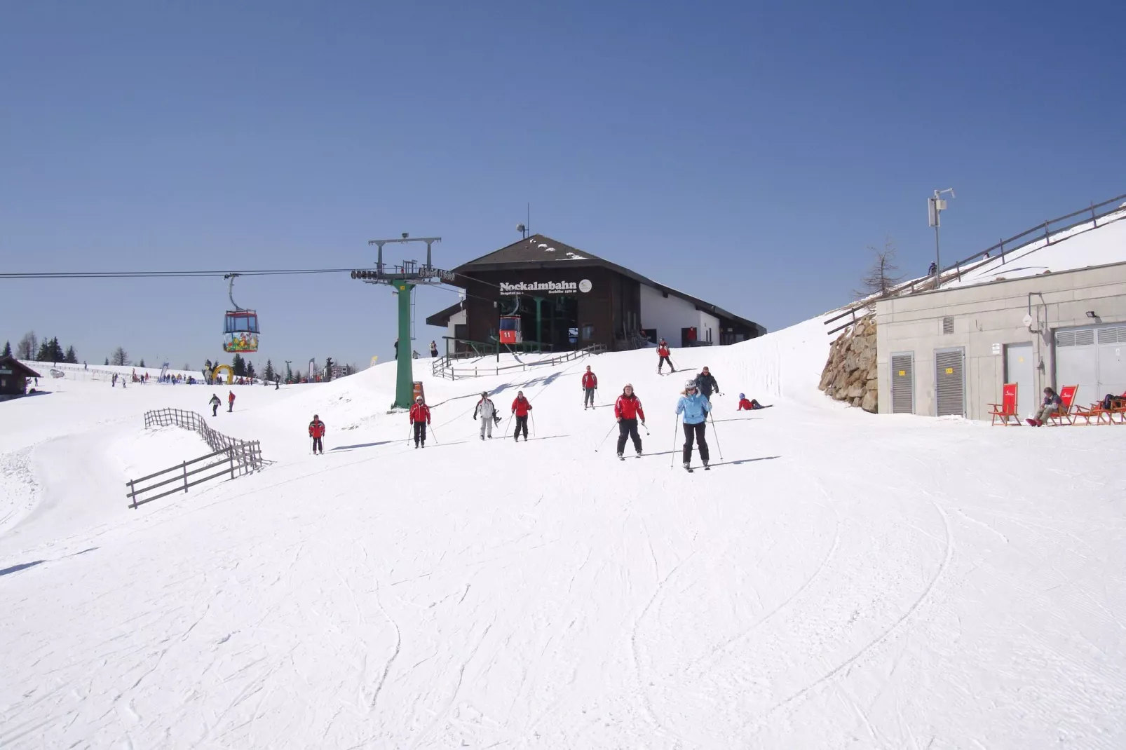 Alpenkatze-Gebied winter 1km