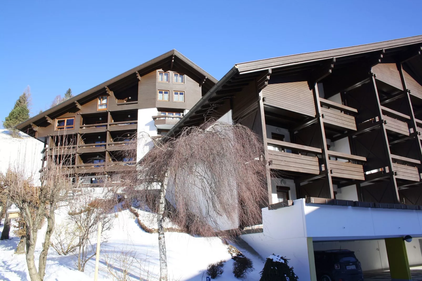 Alpenblick/Alpenhorst-Exterieur winter