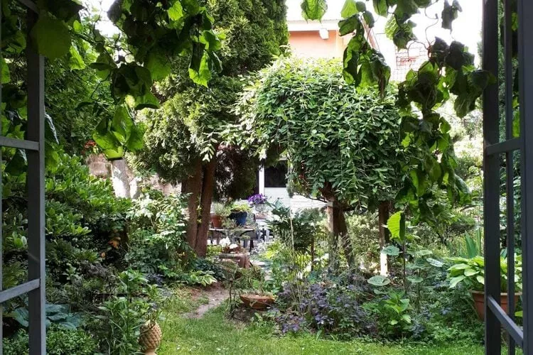 Ferienhaus Wernigerode-Tuinen zomer