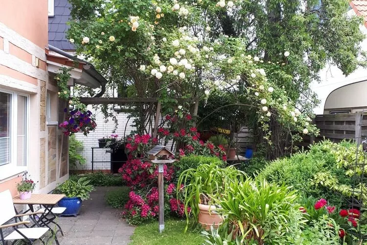 Ferienhaus Wernigerode-Tuinen zomer