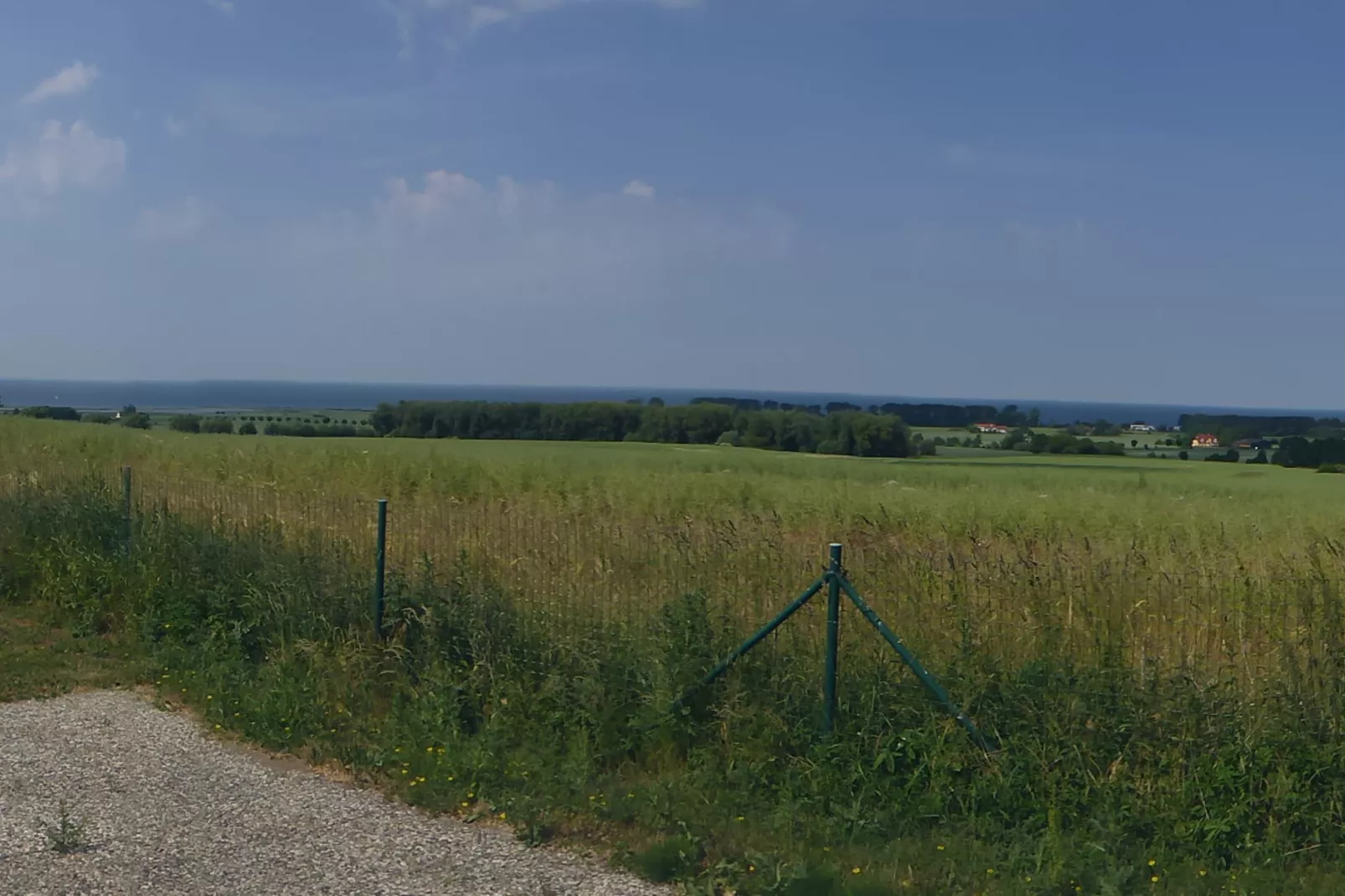 Ferienwohnung mit Leuchtturmblick-Uitzicht zomer