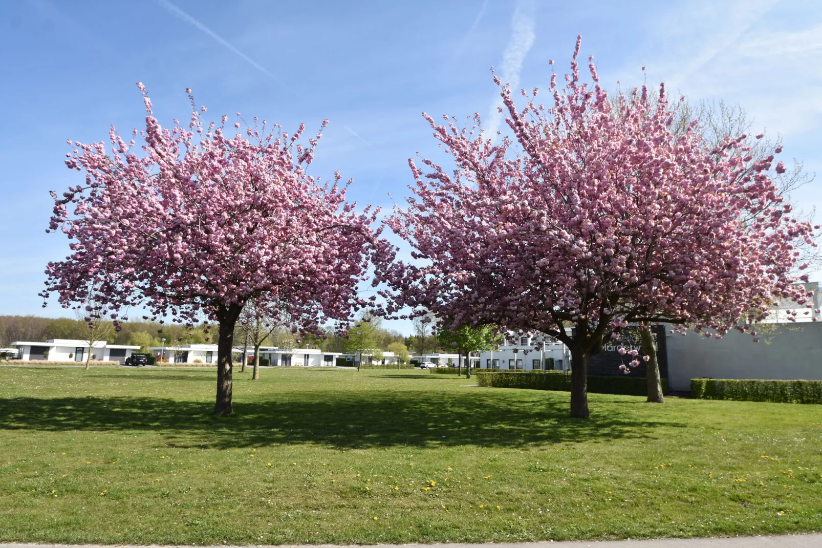 Villa Linquenda 568-Gebieden zomer 1km