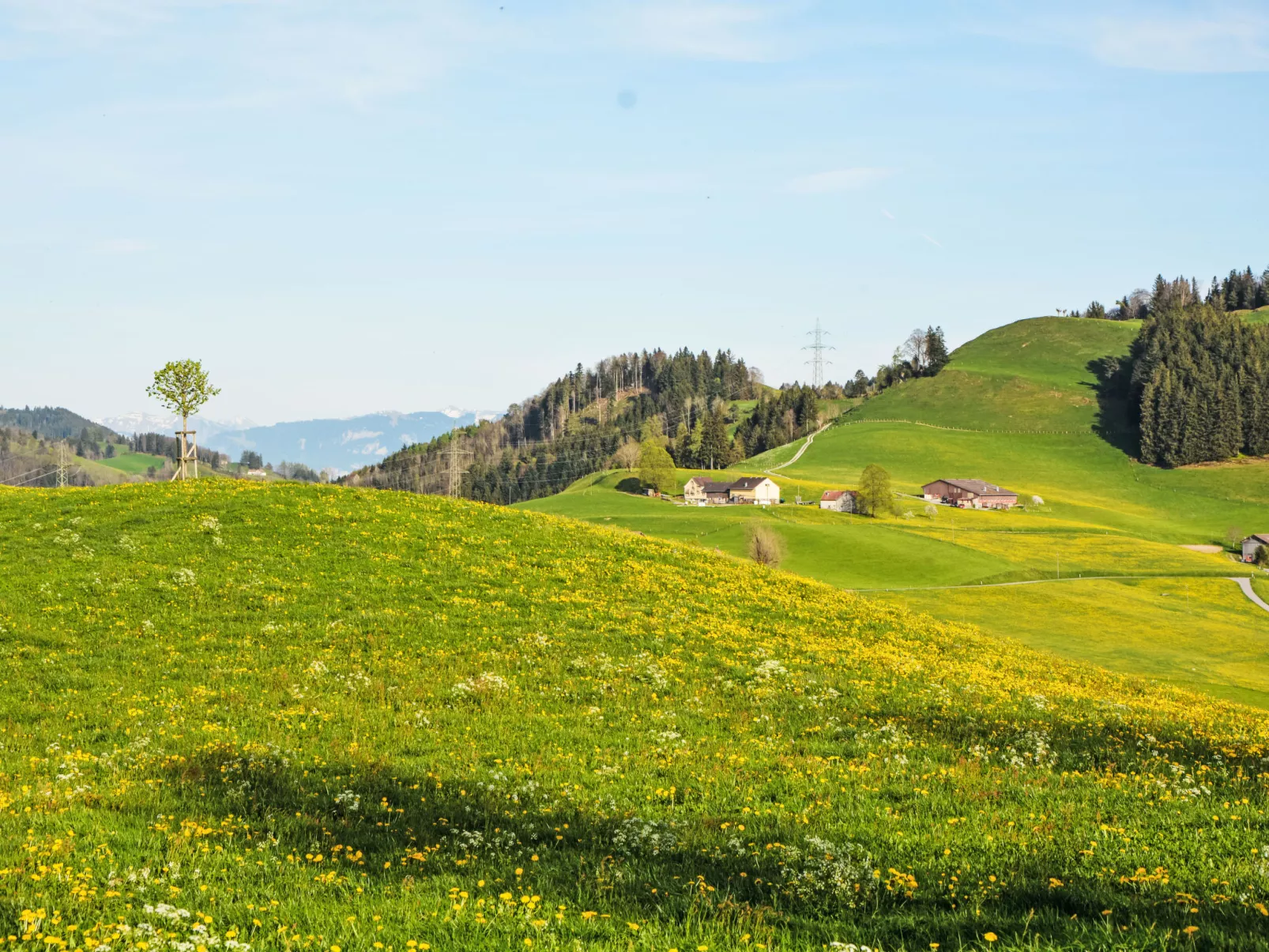 Panoramablick-Buiten