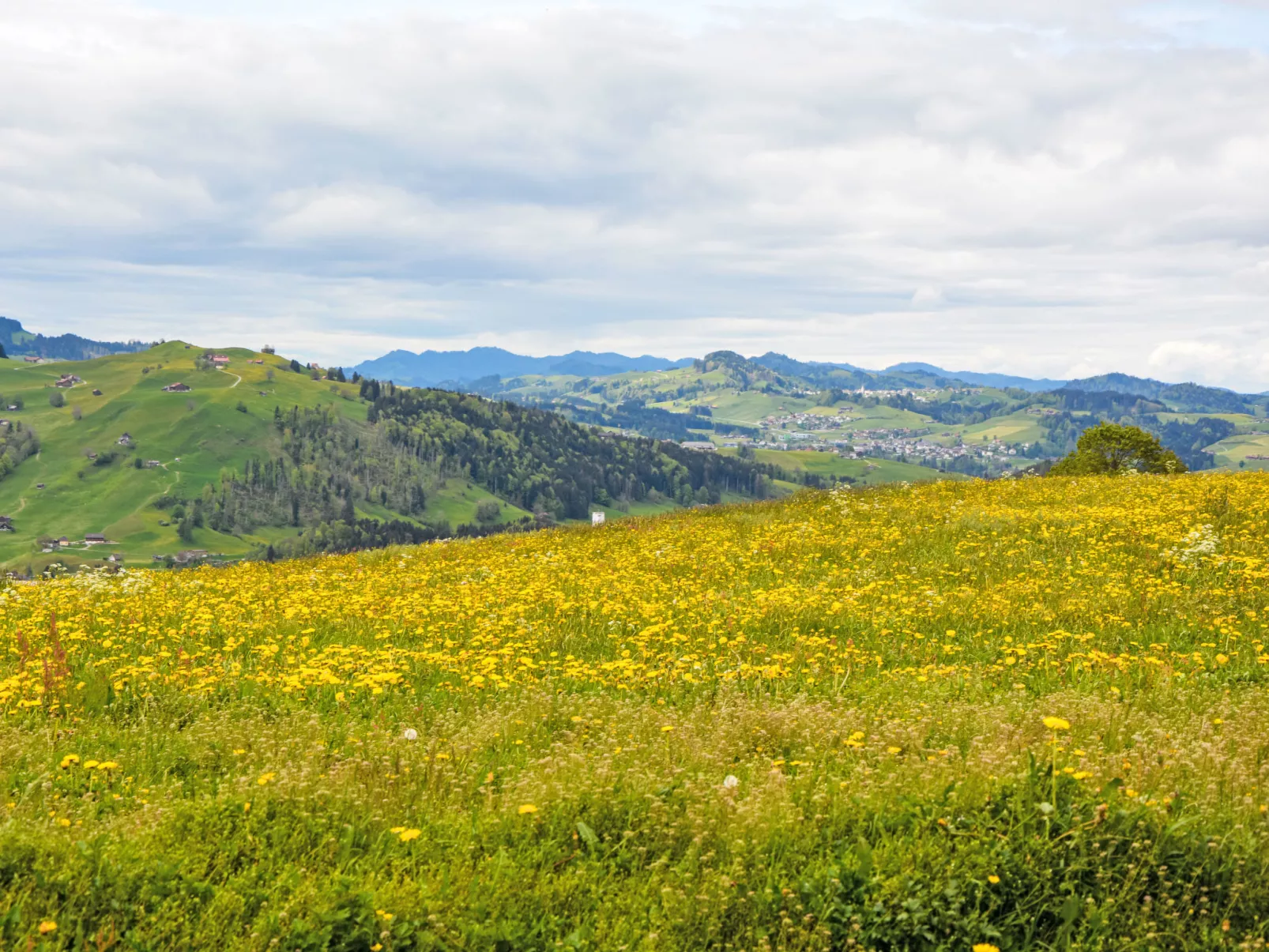 Panoramablick-Buiten