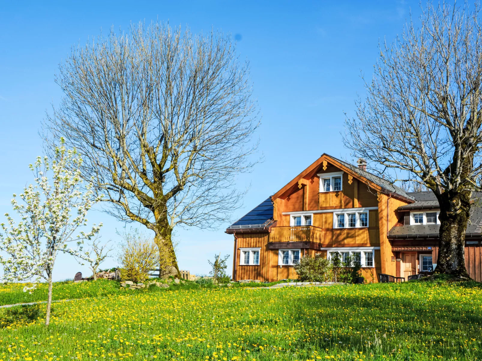 Panoramablick-Buiten