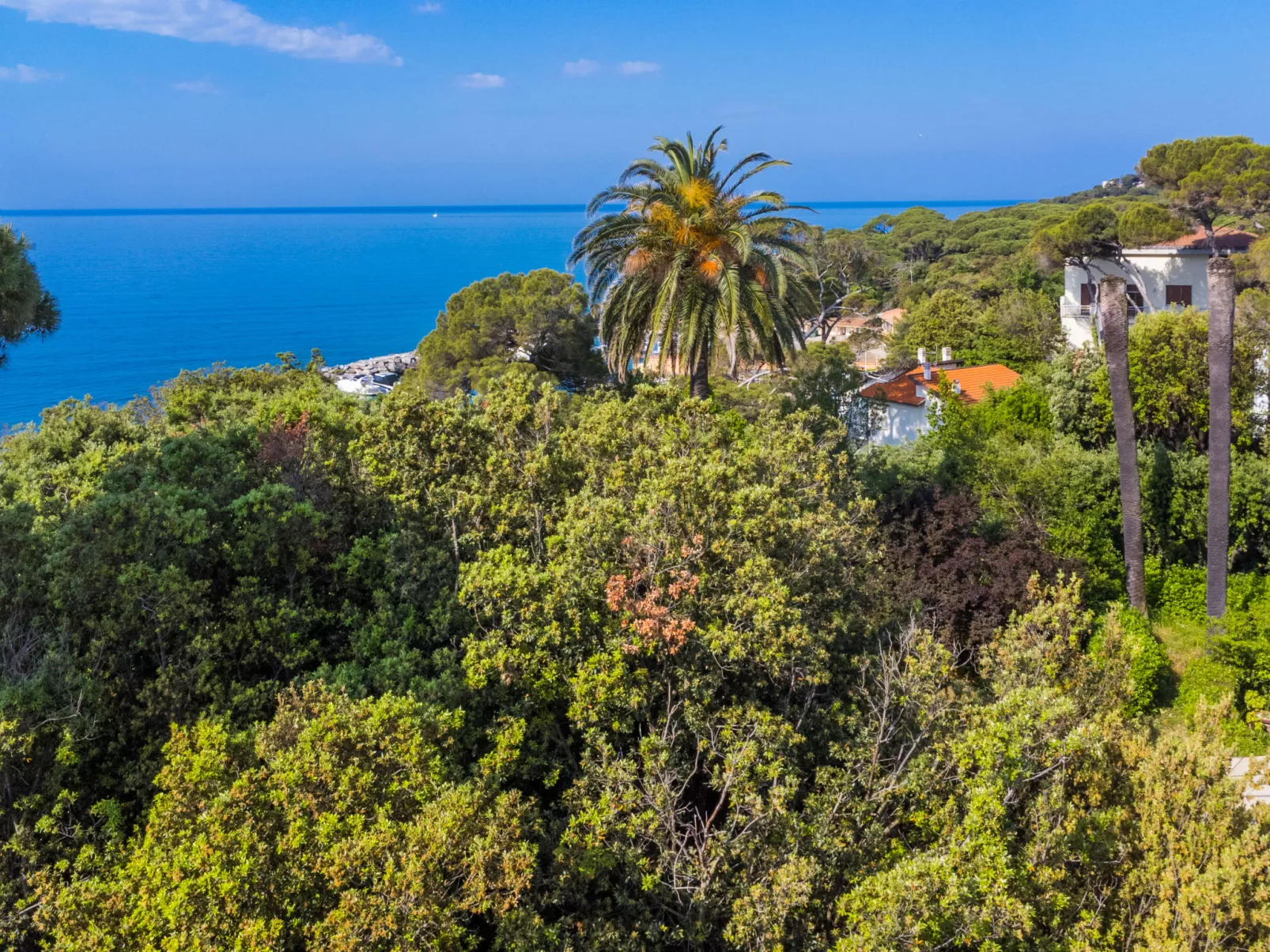 Beach home-Buiten