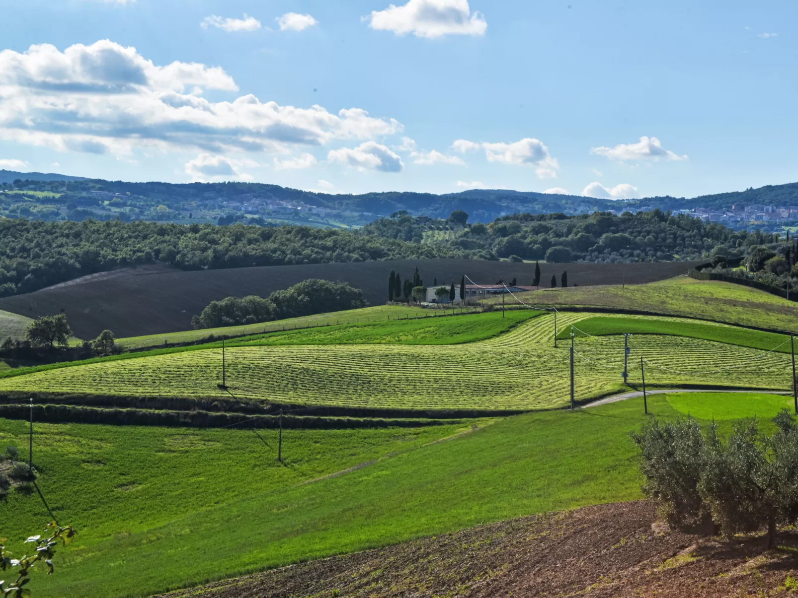 Podere Biancospino-Buiten