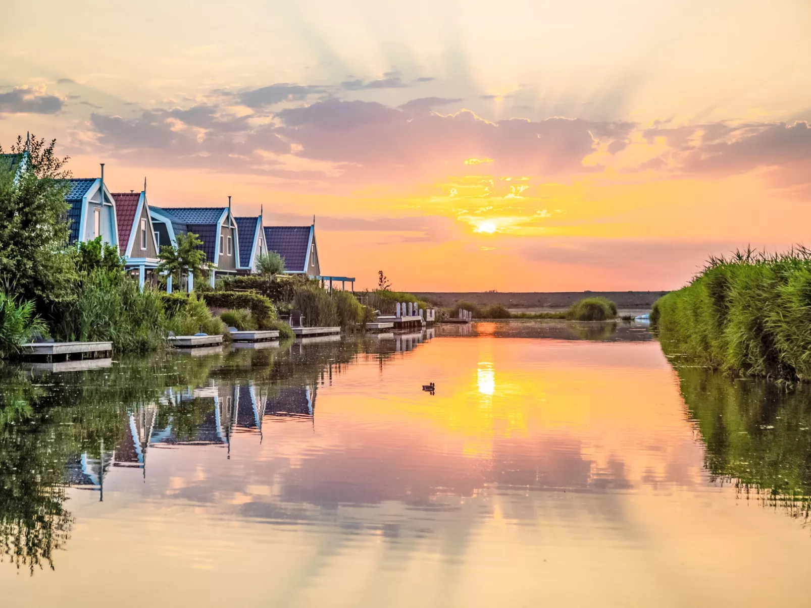 EuroParcs Poort van Amsterdam-Omgeving