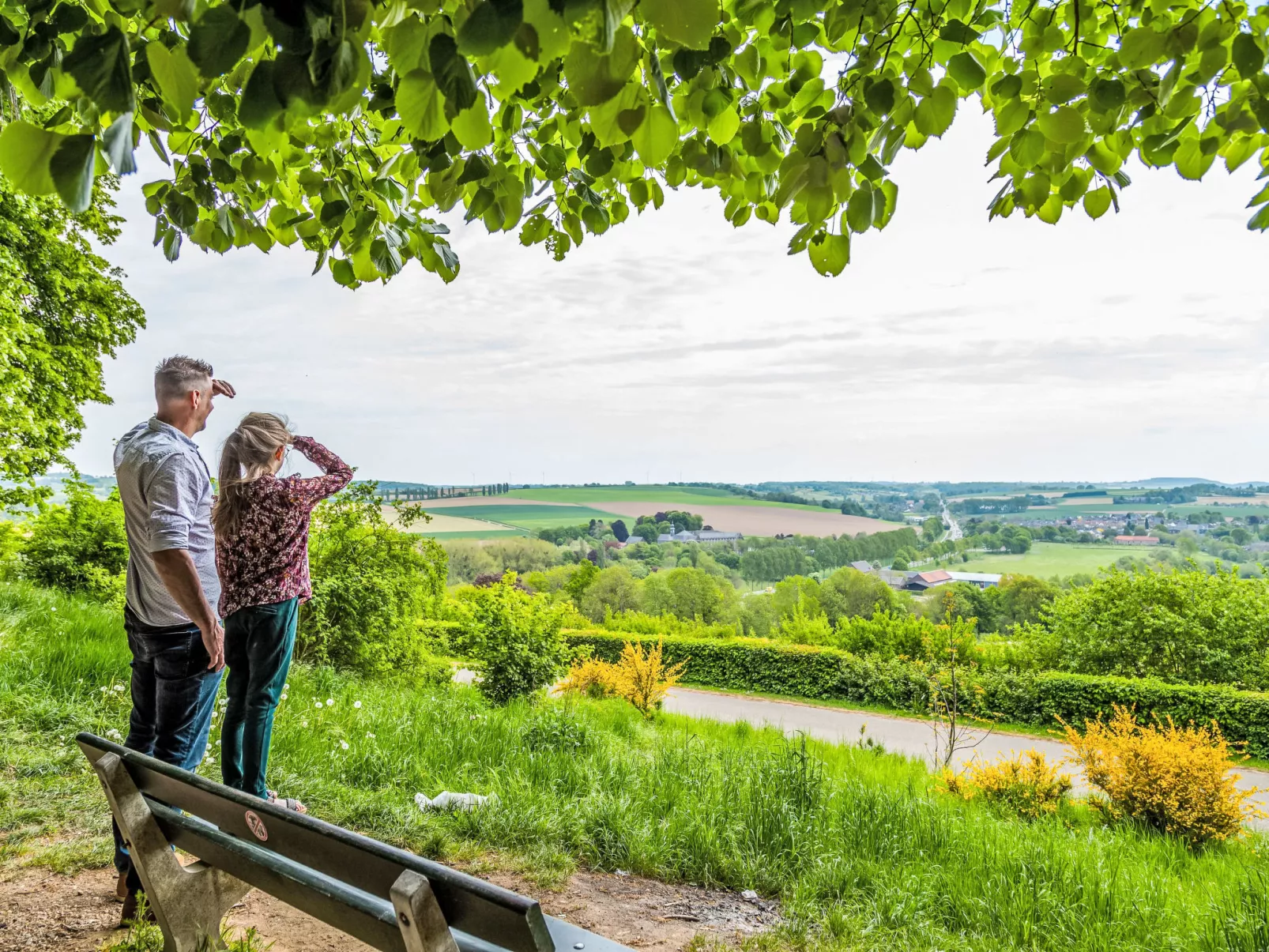 Grandeur Panorama-Omgeving