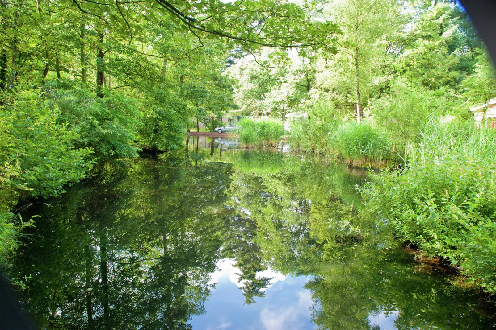 Vakantiepark de Berkenhorst 10-Gebieden zomer 5km