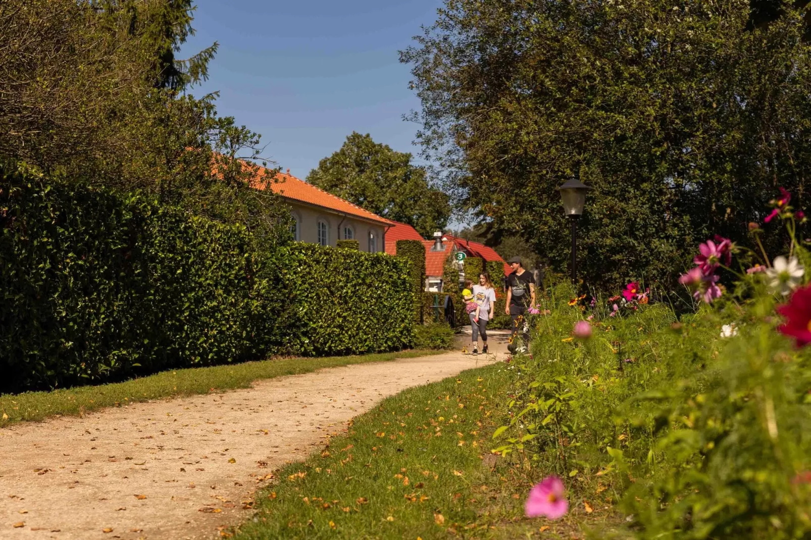 Parc Duc de Brabant 4-Gebieden zomer 1km