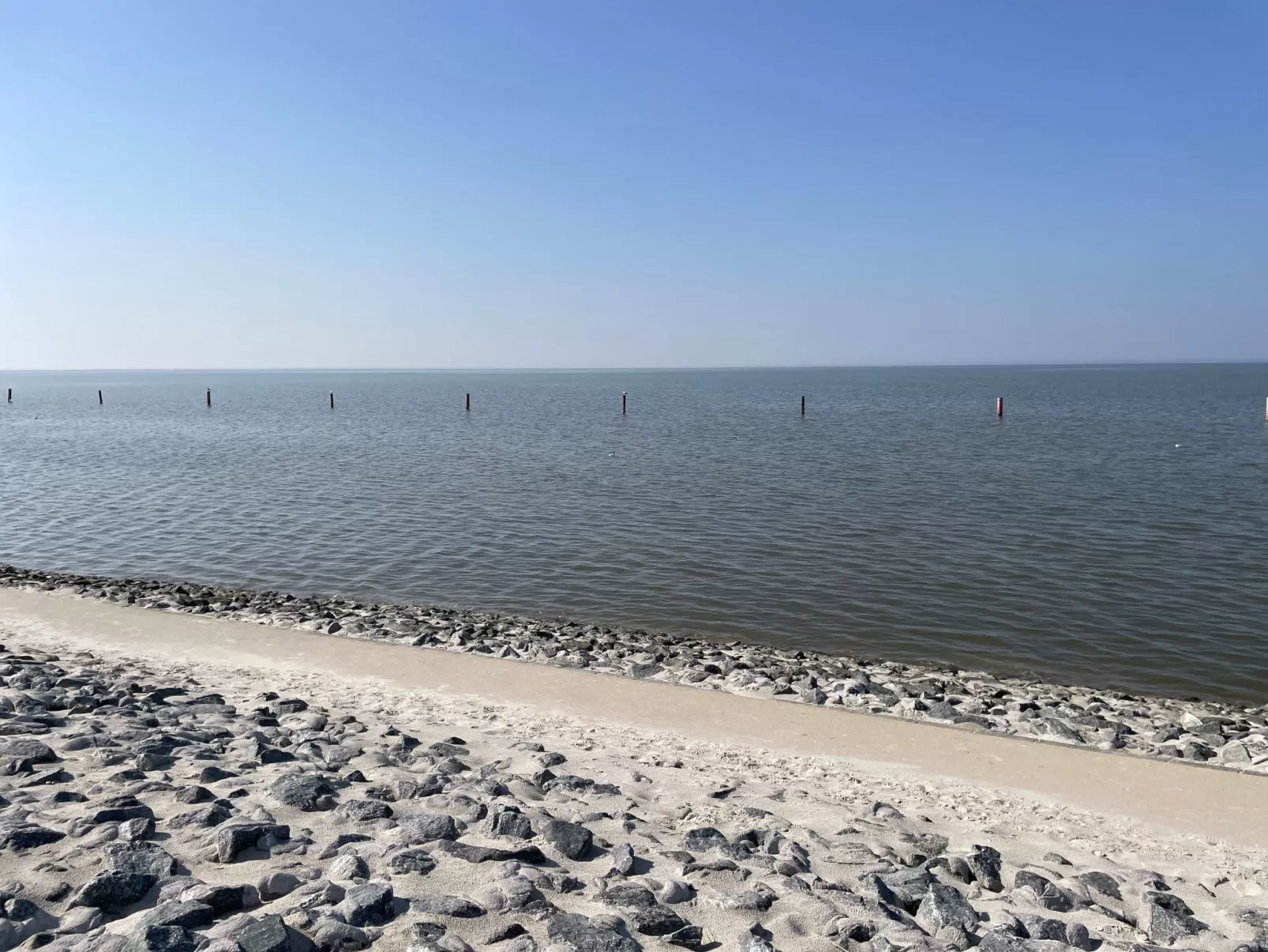 Eisvogelnest am Norder Tief-Omgeving