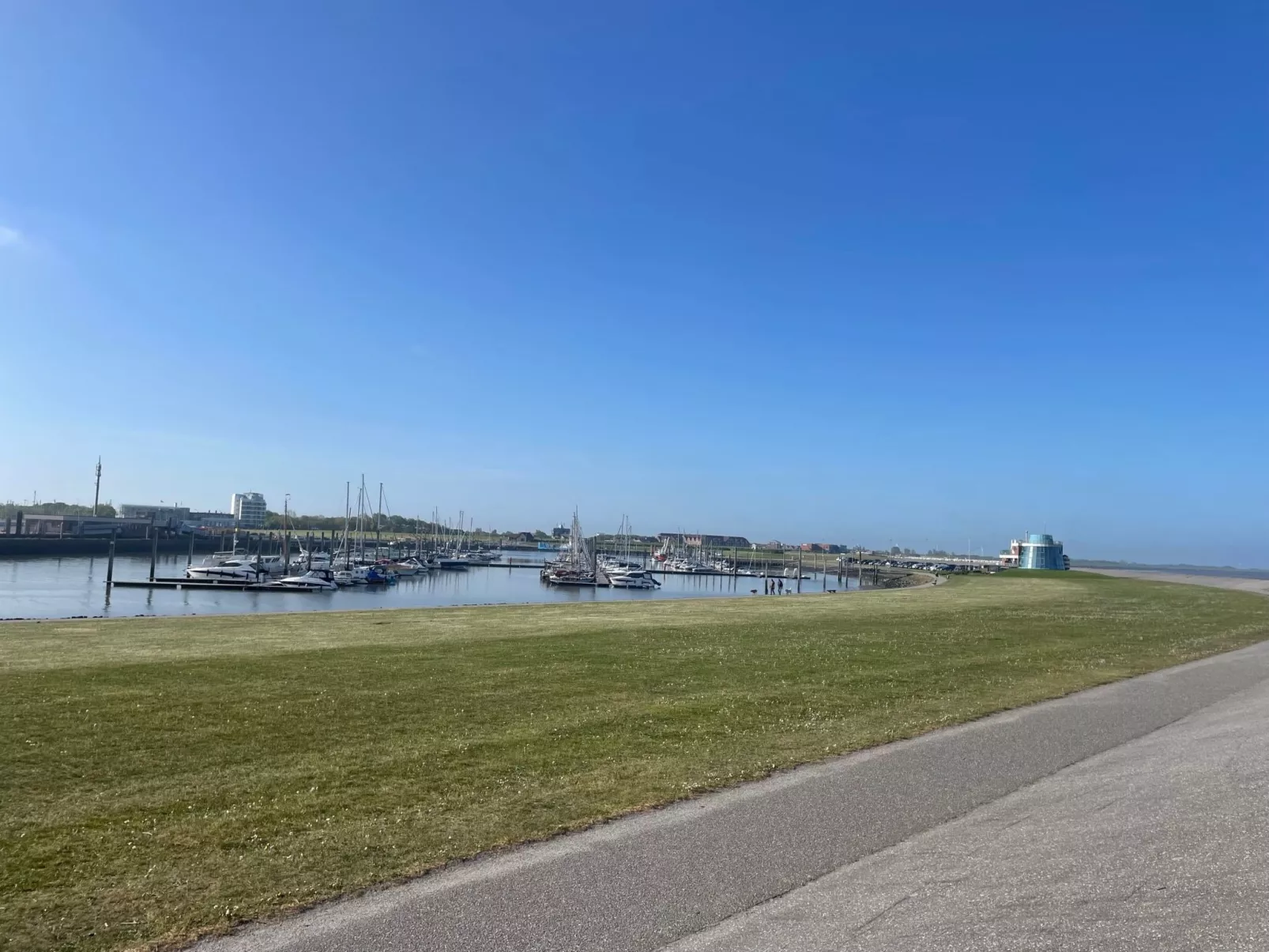 Eisvogelnest am Norder Tief-Omgeving