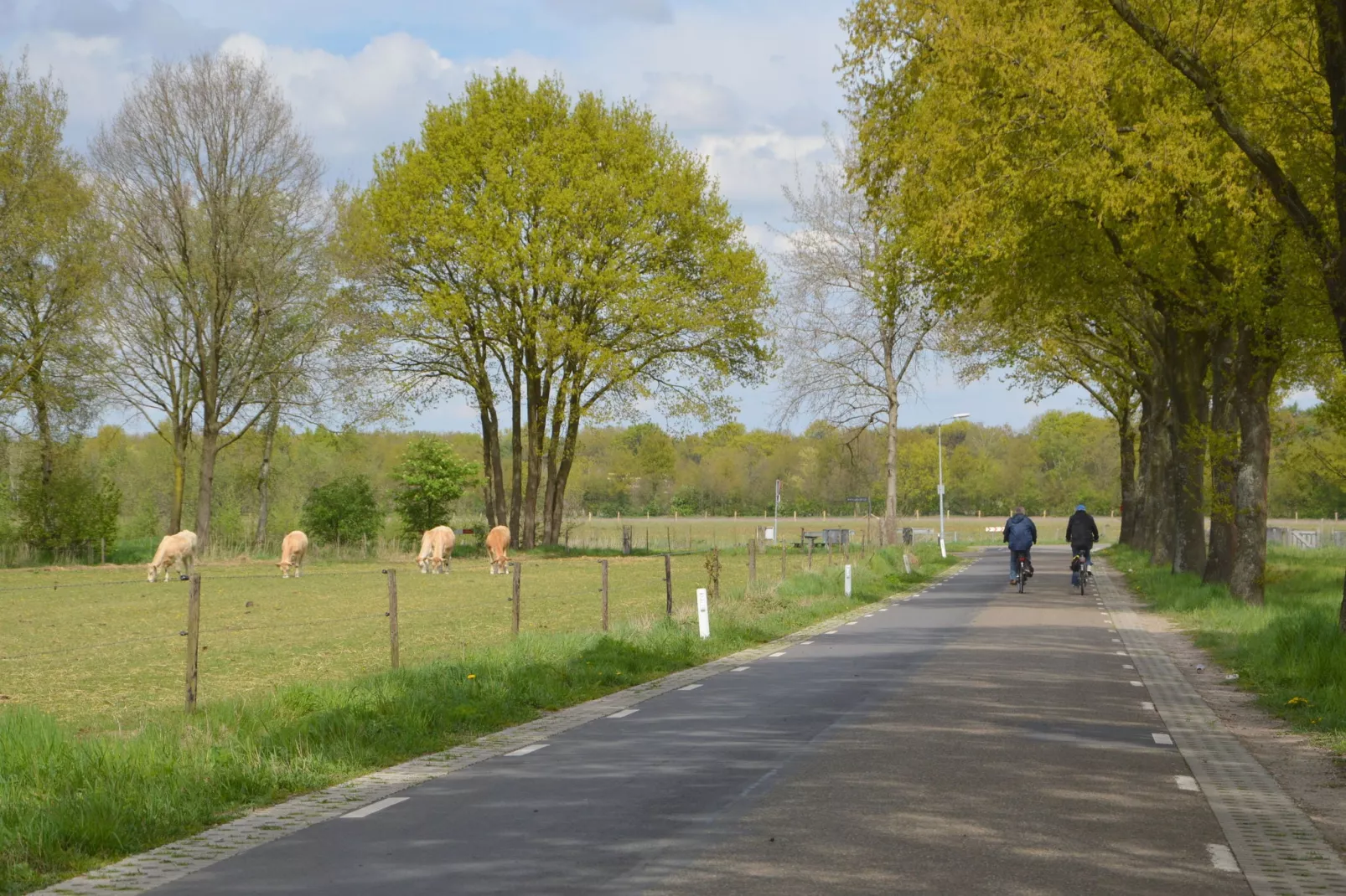 Vosseven 85 Muizeoortje-Gebieden zomer 20km