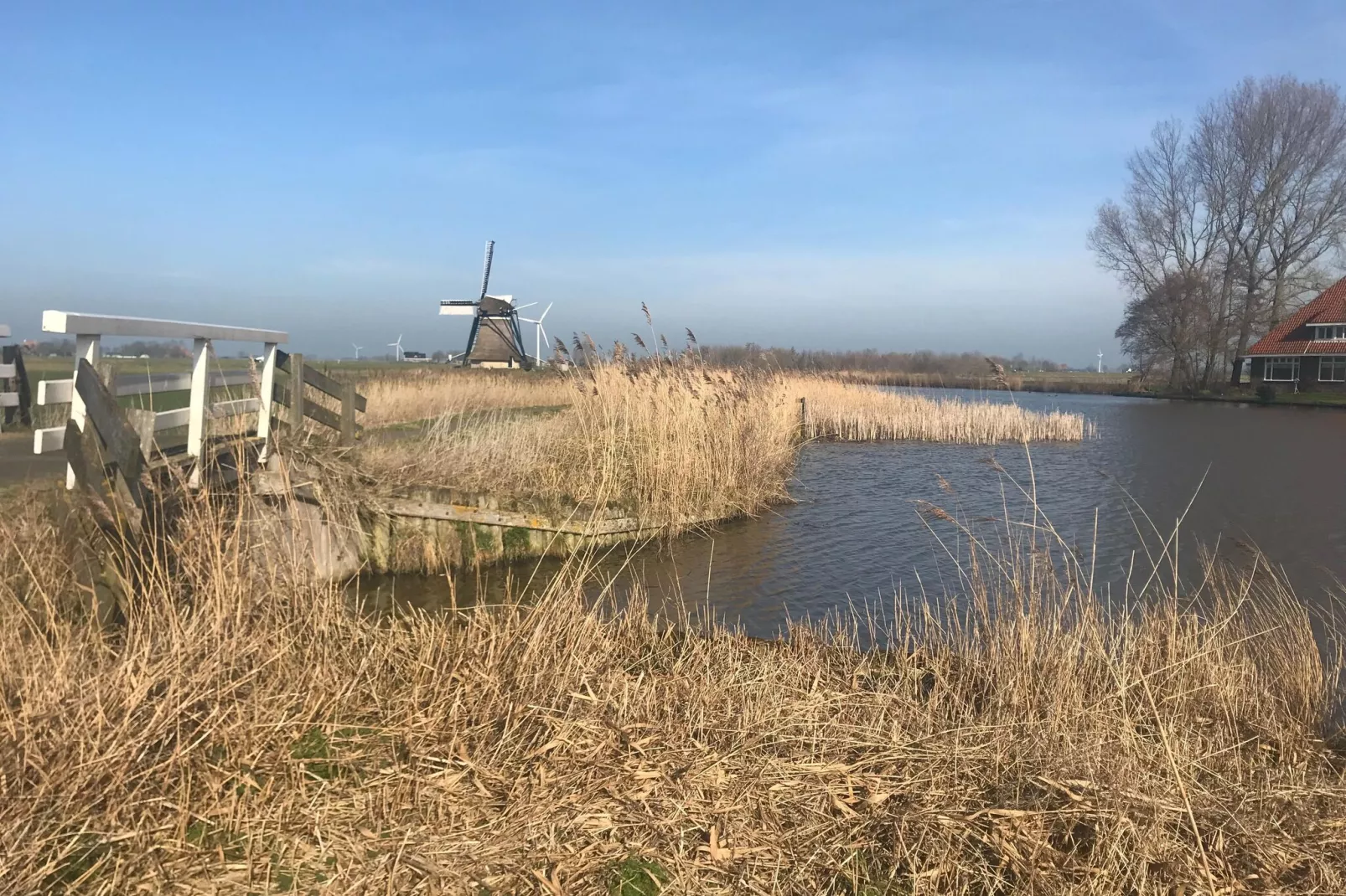 De Waske-Gebieden zomer 5km