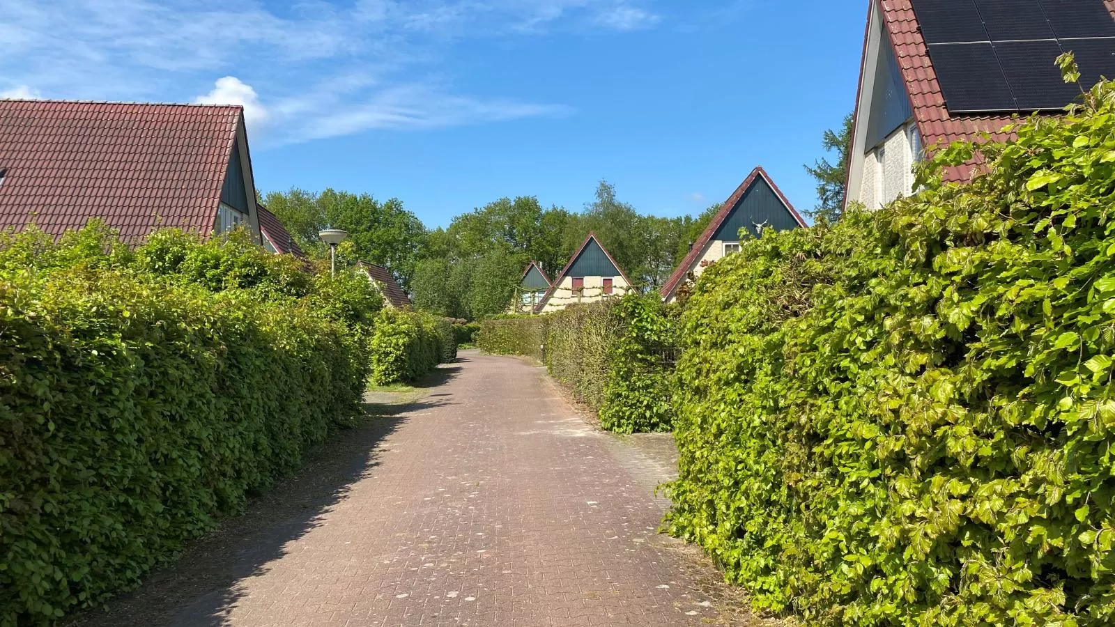 Landhuis 42-Gebieden zomer 1km