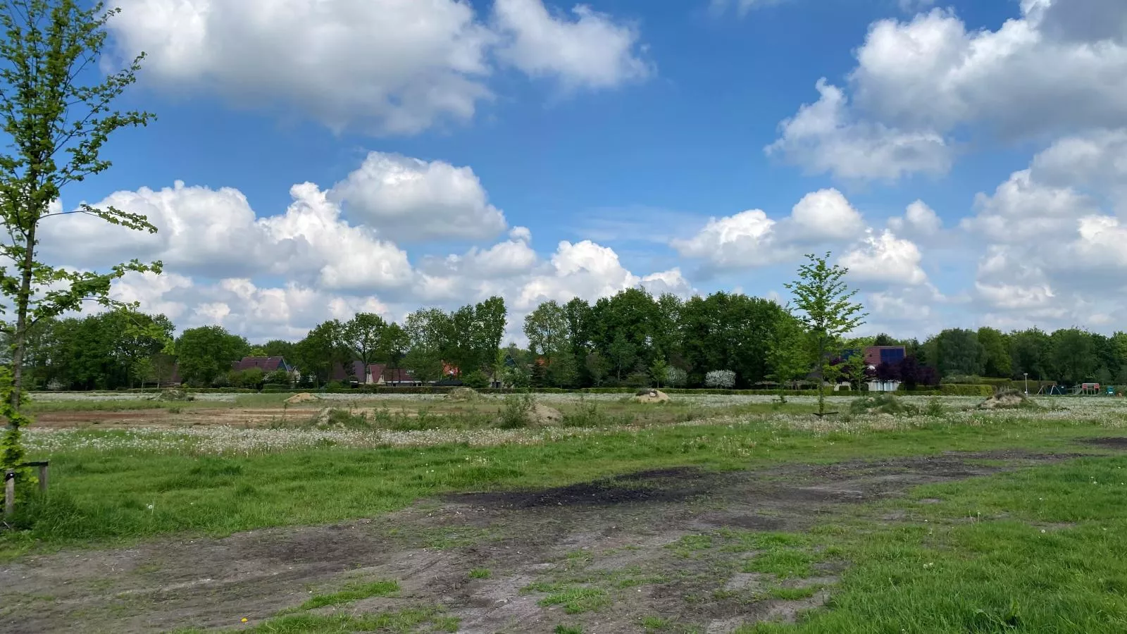 Landhuis 42-Gebieden zomer 1km