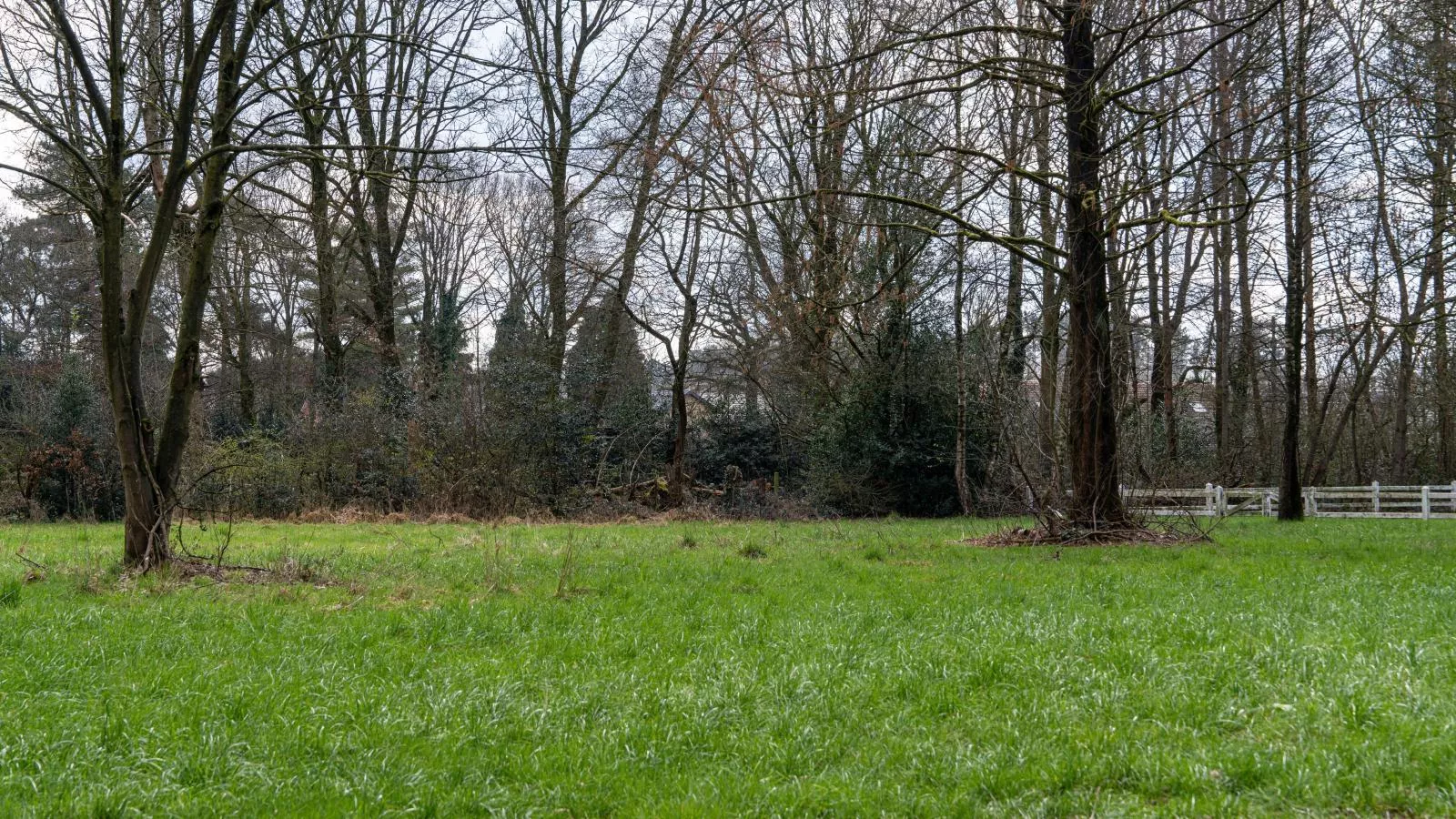 Het Bruegelhof-Gebieden zomer 1km