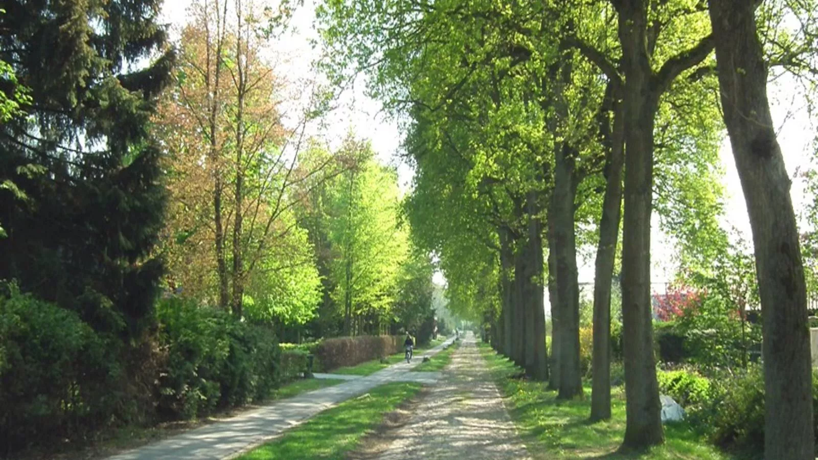 Zonnehoek-Gebieden zomer 1km