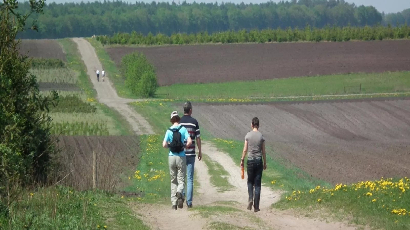 Zonnehoek-Gebieden zomer 1km