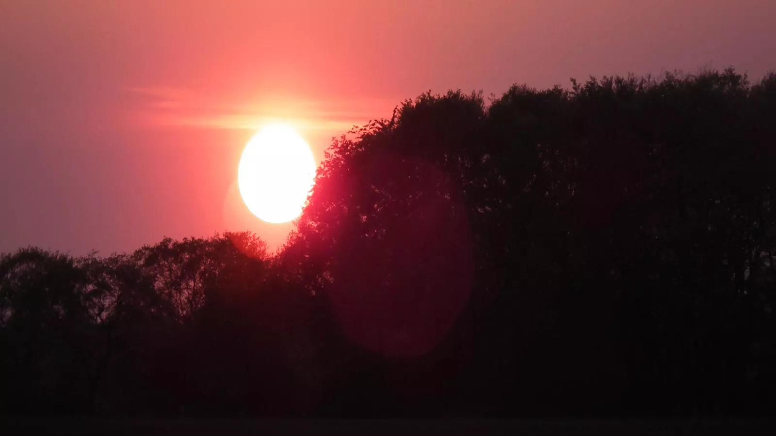 Zonnehoek-Gebieden zomer 1km