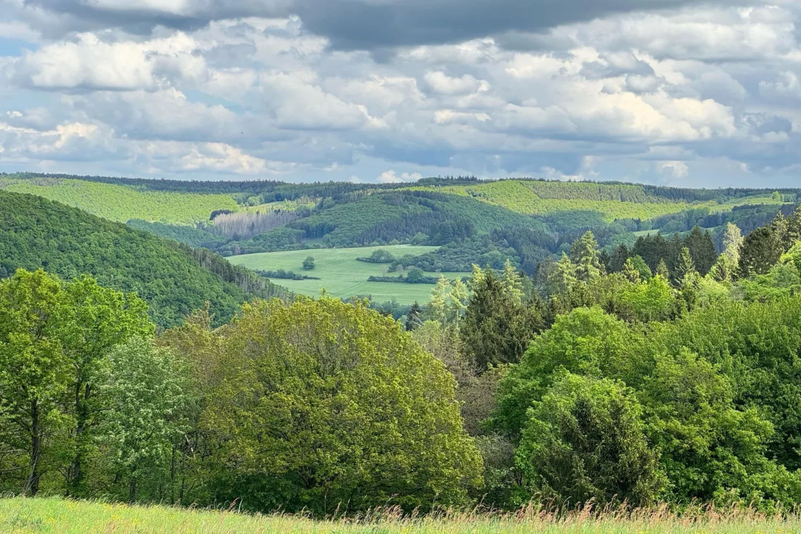 Groepshuis Eifel-Gebieden zomer 1km