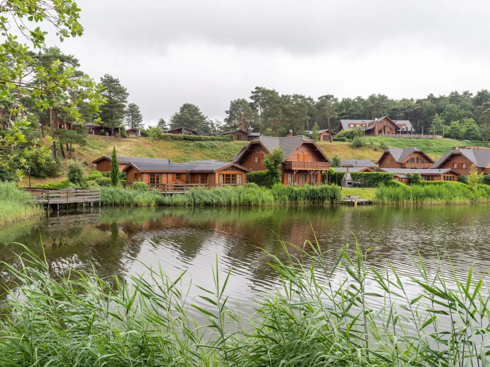 Boekhorst l'etage Sauna 12-Omgeving