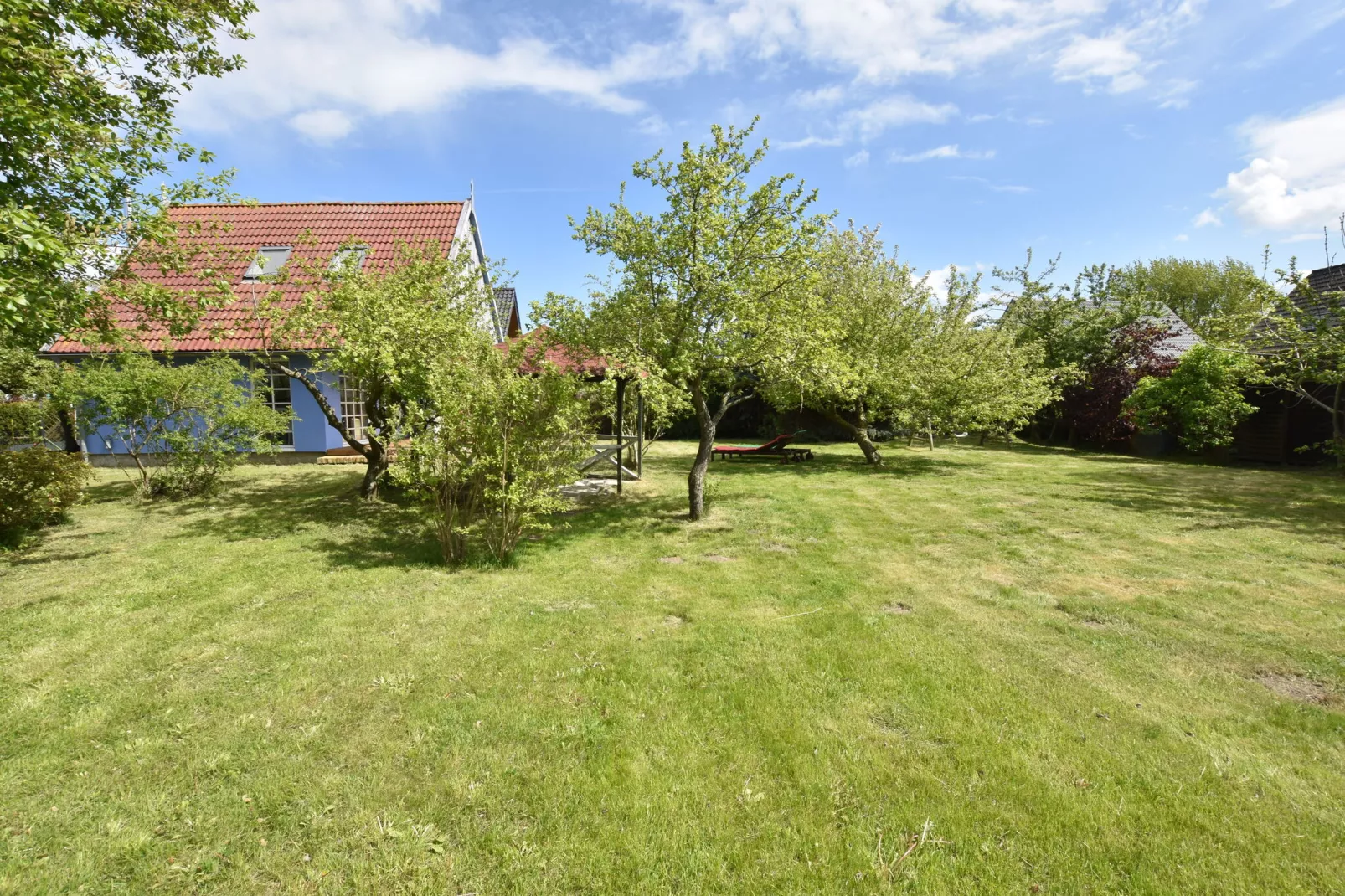 Ferienhaus am Haff-Tuinen zomer