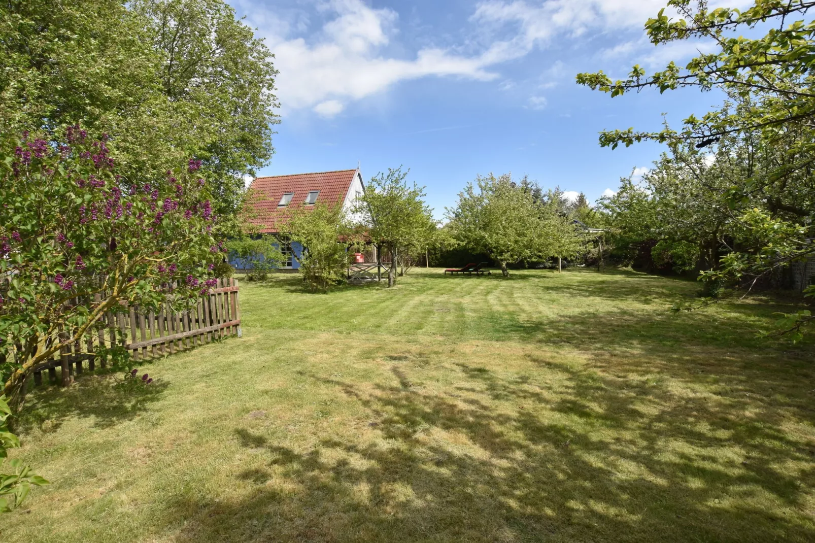 Ferienhaus am Haff-Tuinen zomer