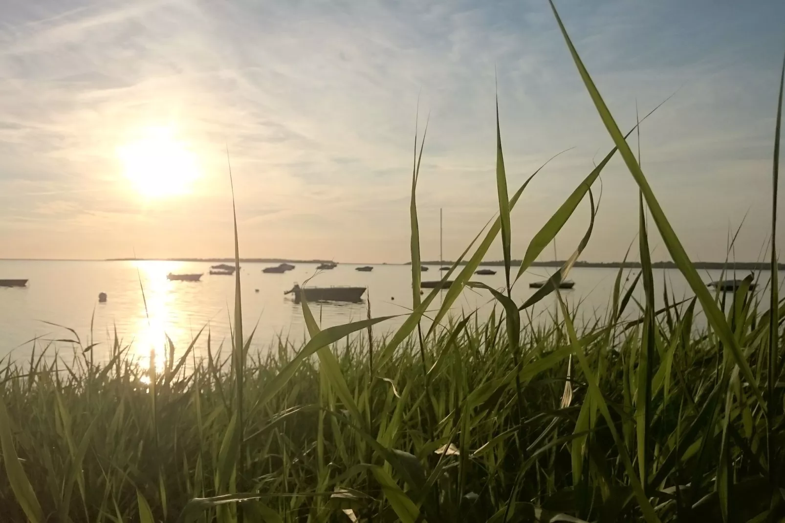 Ferienhaus am Haff-Gebieden zomer 1km