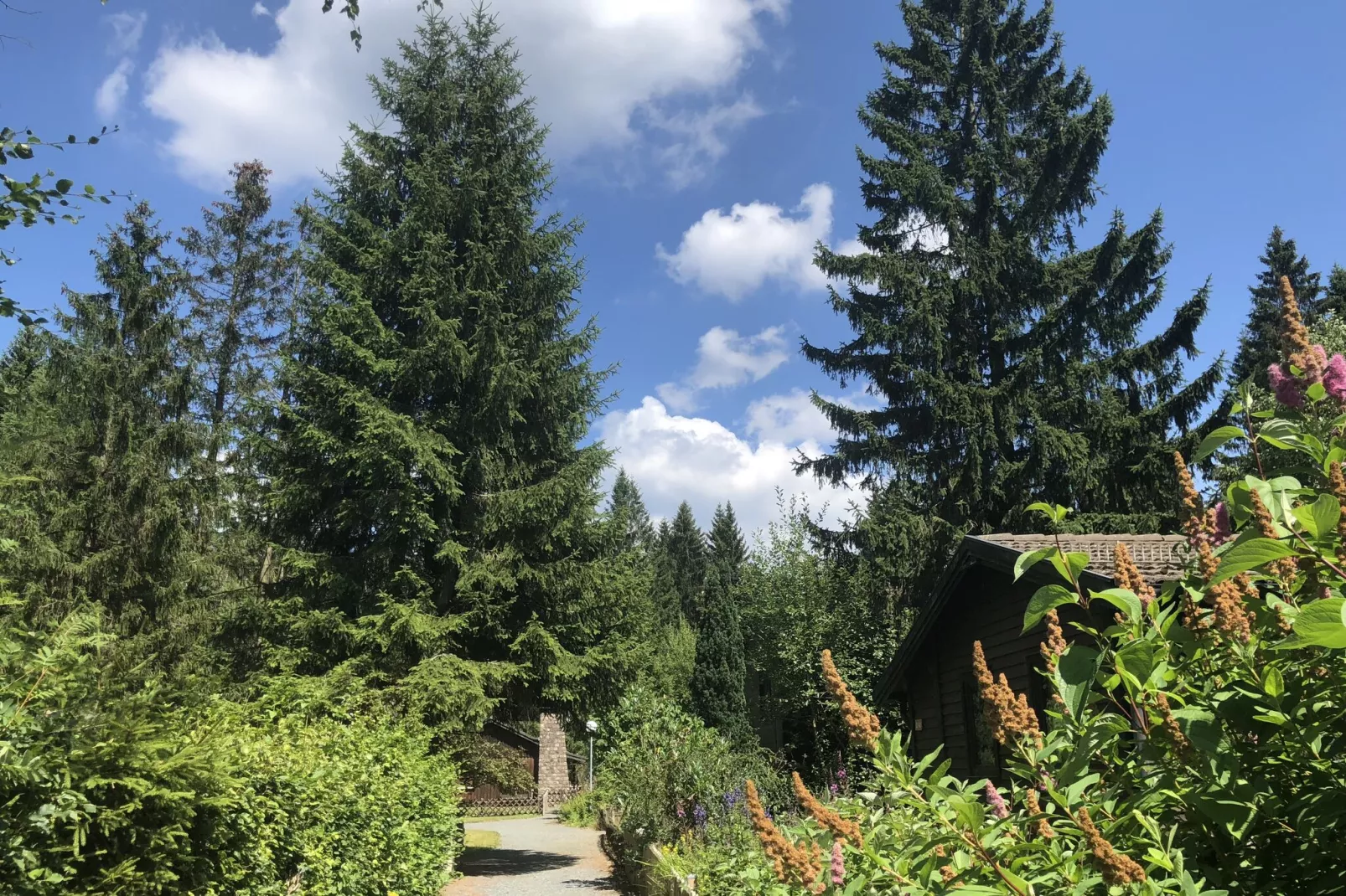 Typ A -  Nurdachhaus - Haustierfrei-Gebieden zomer 1km