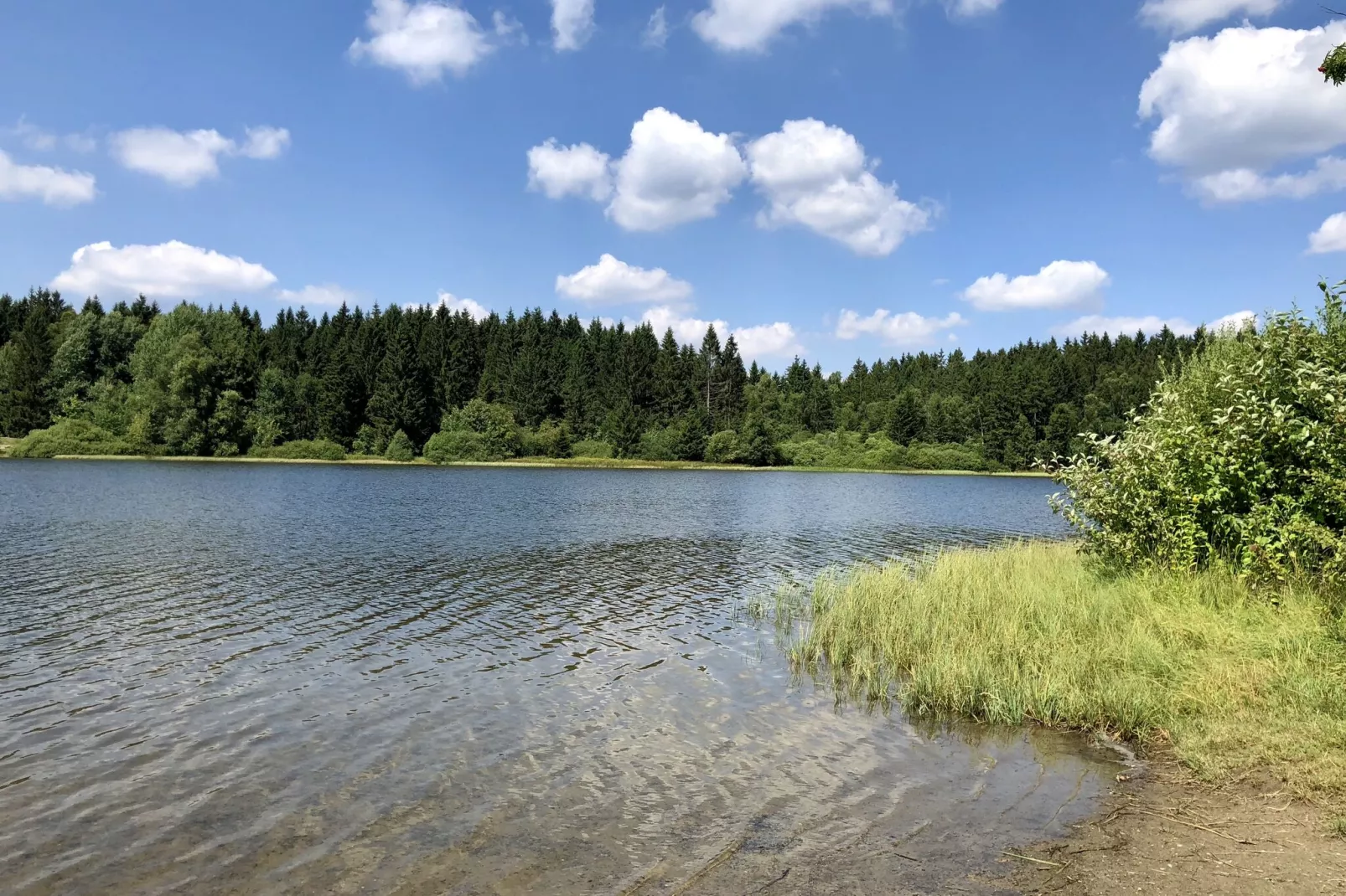 Typ A -  Nurdachhaus - Haustierfrei-Gebieden zomer 1km