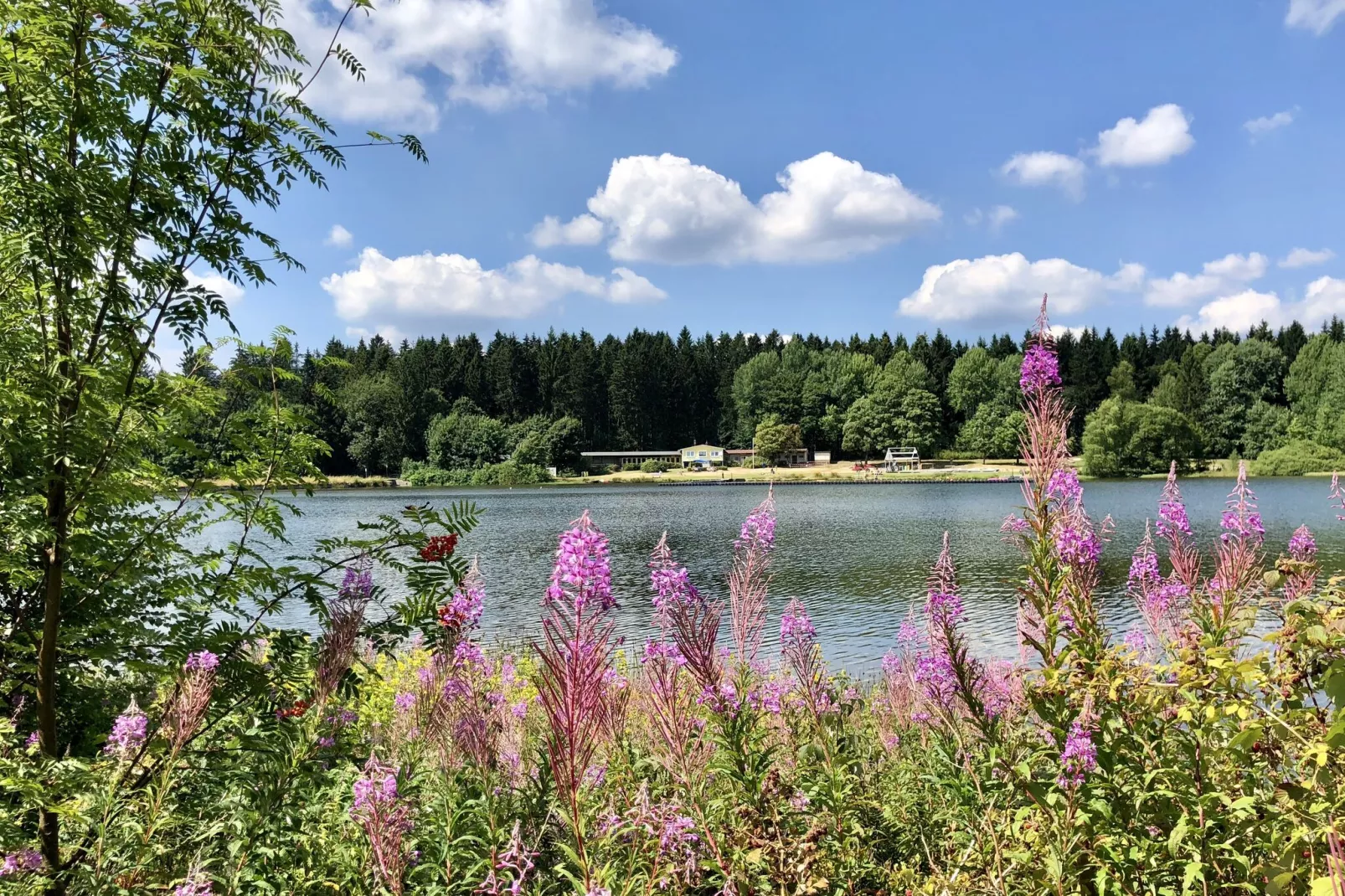 Typ A -  Nurdachhaus - Haustierfrei-Gebieden zomer 1km