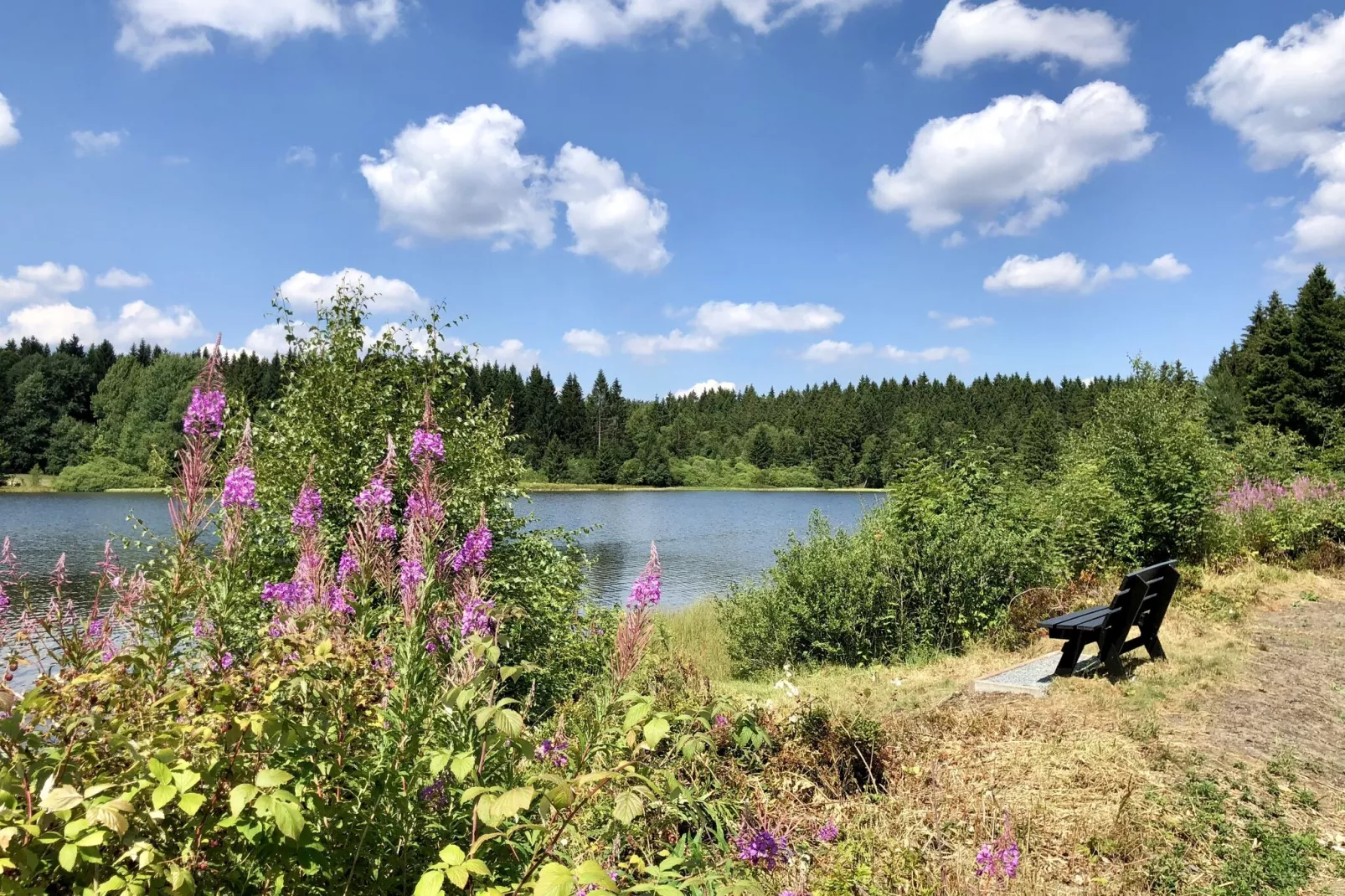 Typ A -  Nurdachhaus - Haustierfrei-Gebieden zomer 1km